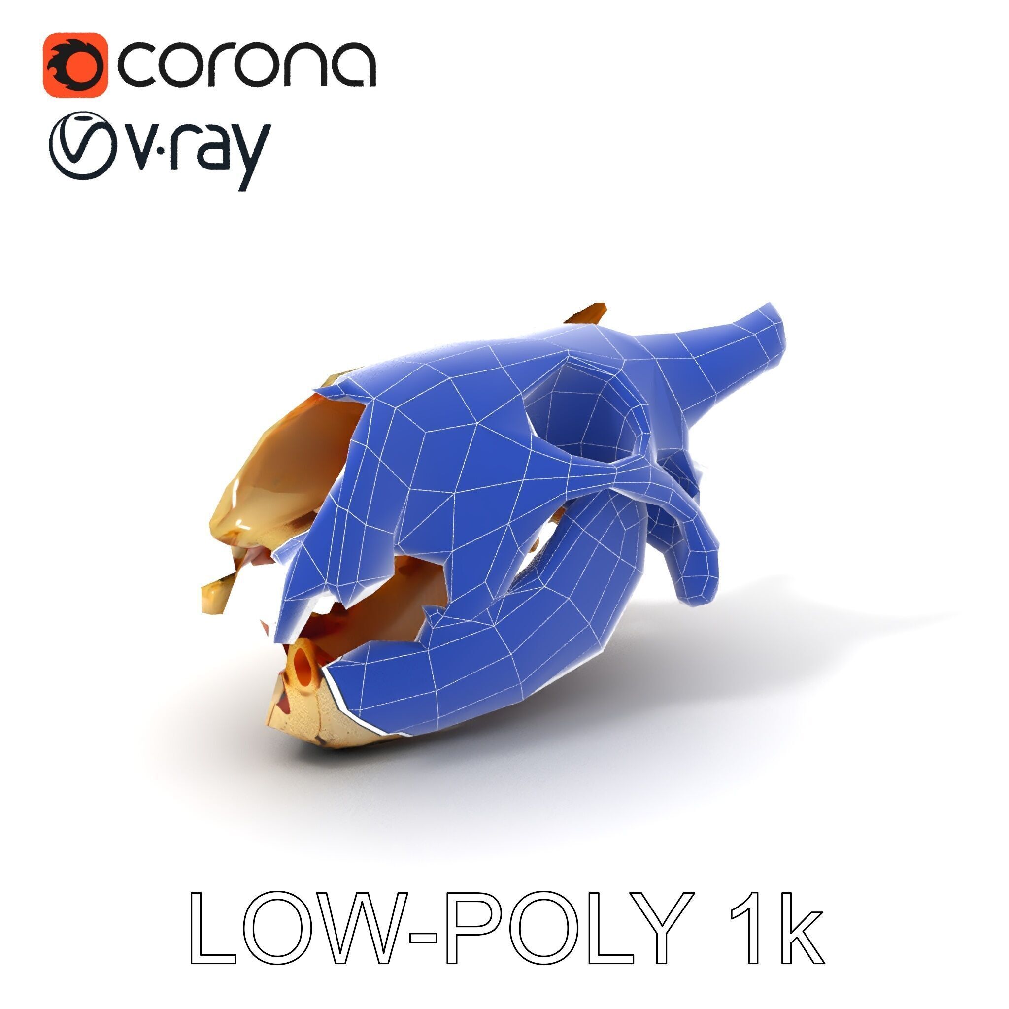 Realistic Animal Skull Model Pack for Animation Low-poly 3D model_27