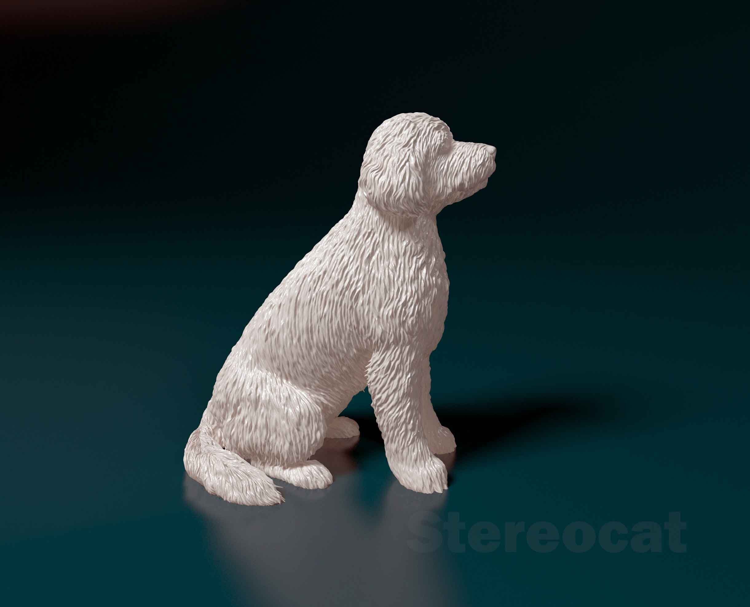 Old English sheepdog  3D print model_1