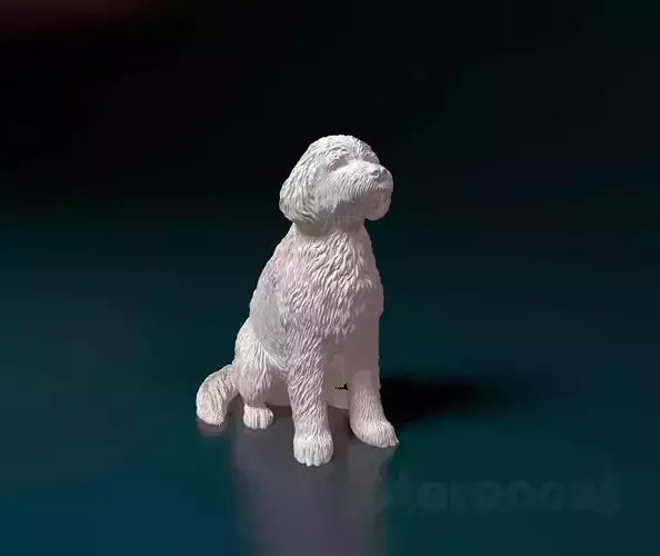 Old English sheepdog 