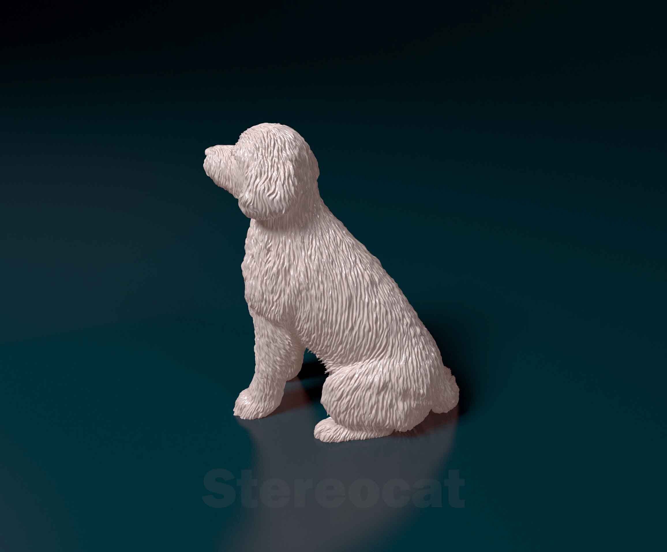 Old English sheepdog  3D print model_3