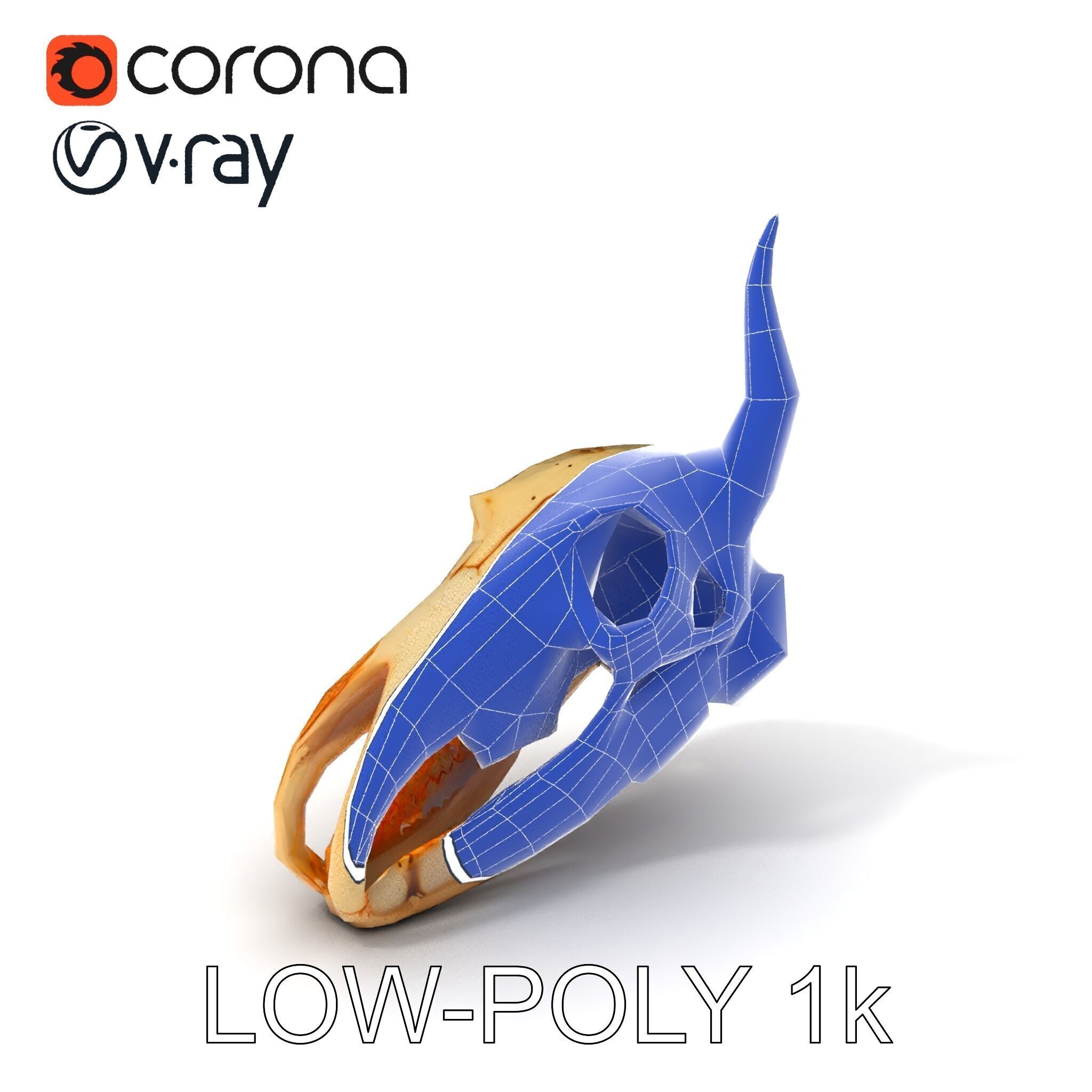Horned Animal Skull D Model Pack Low-poly 3D model_21