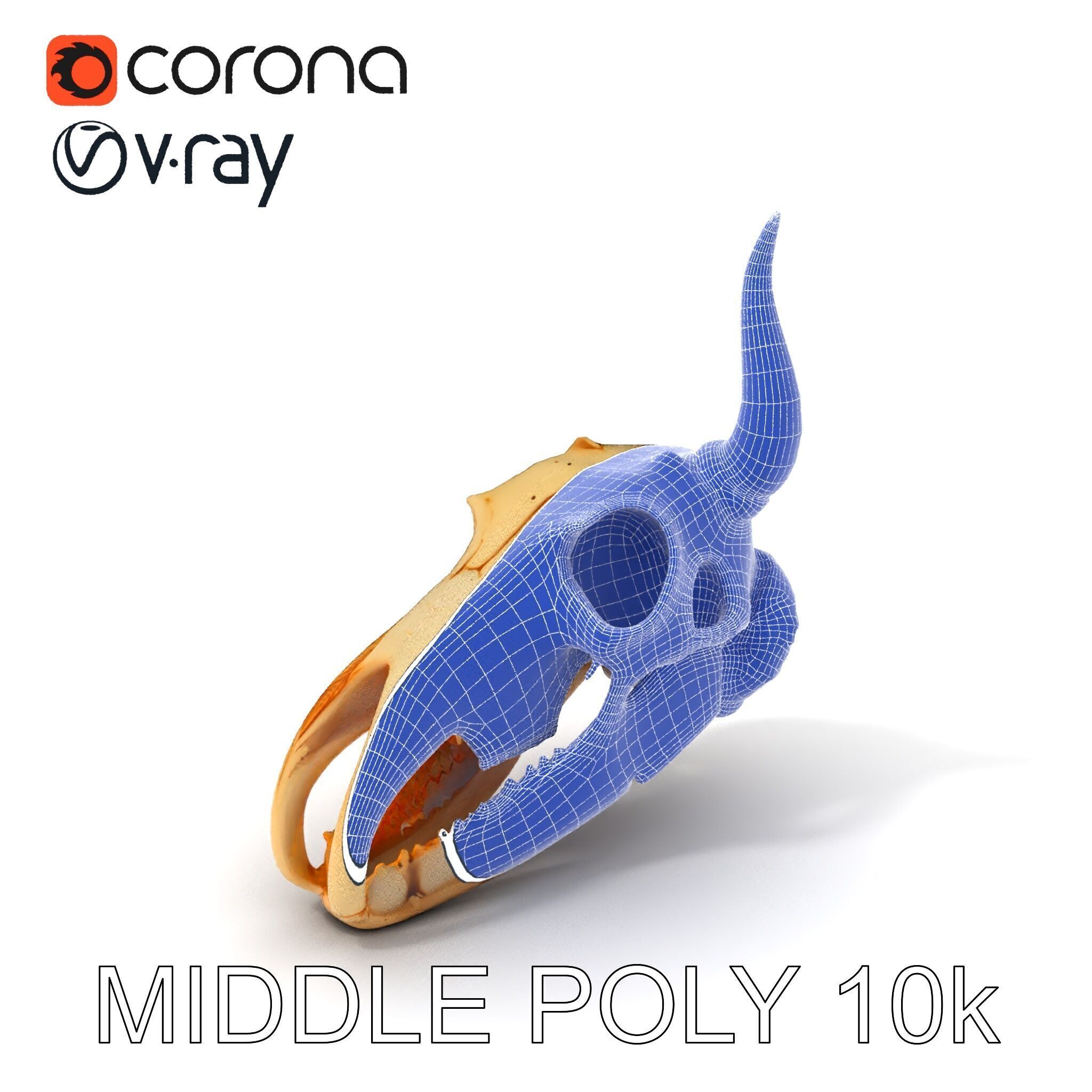 Horned Animal Skull D Model Pack Low-poly 3D model_33