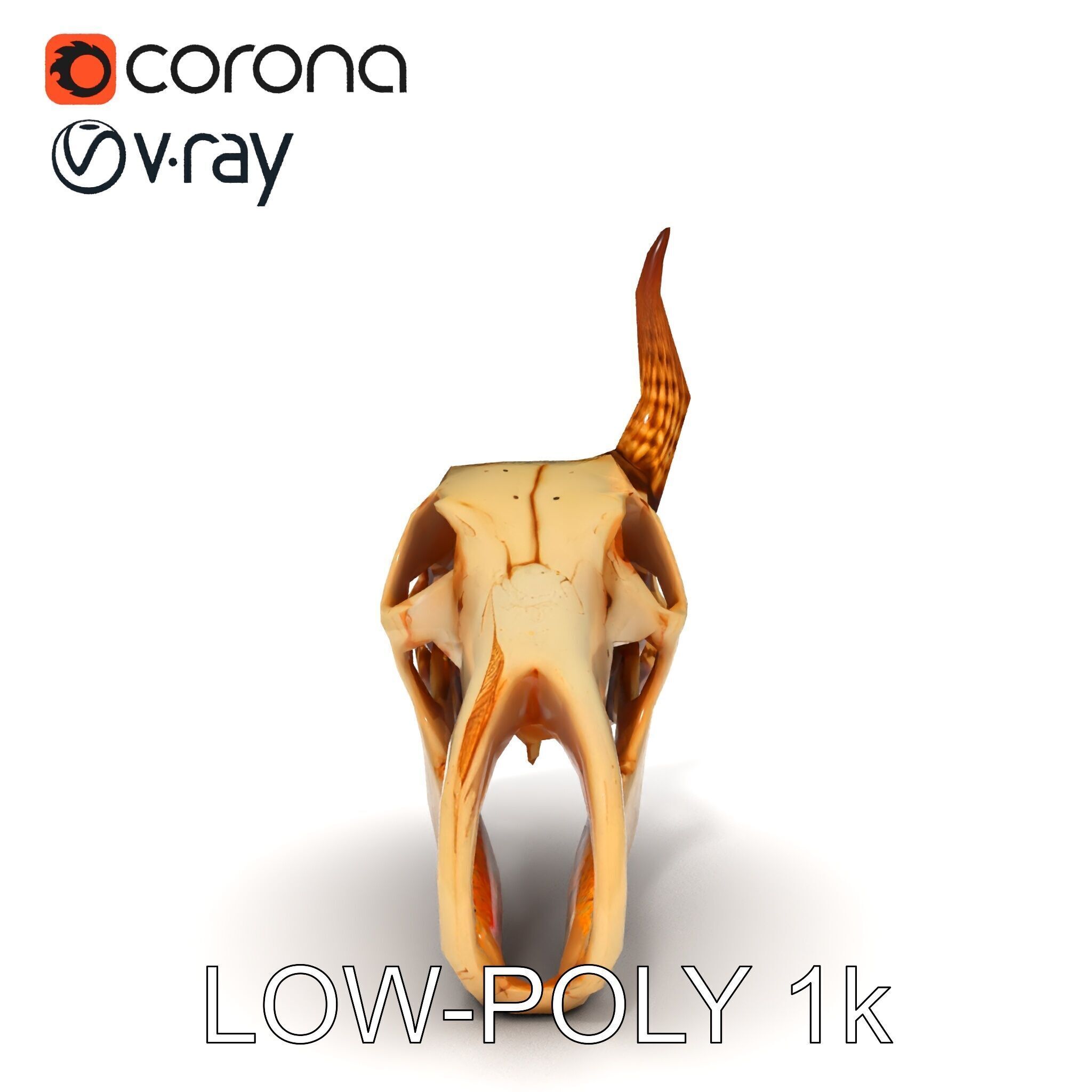 Horned Animal Skull D Model Pack Low-poly 3D model_13