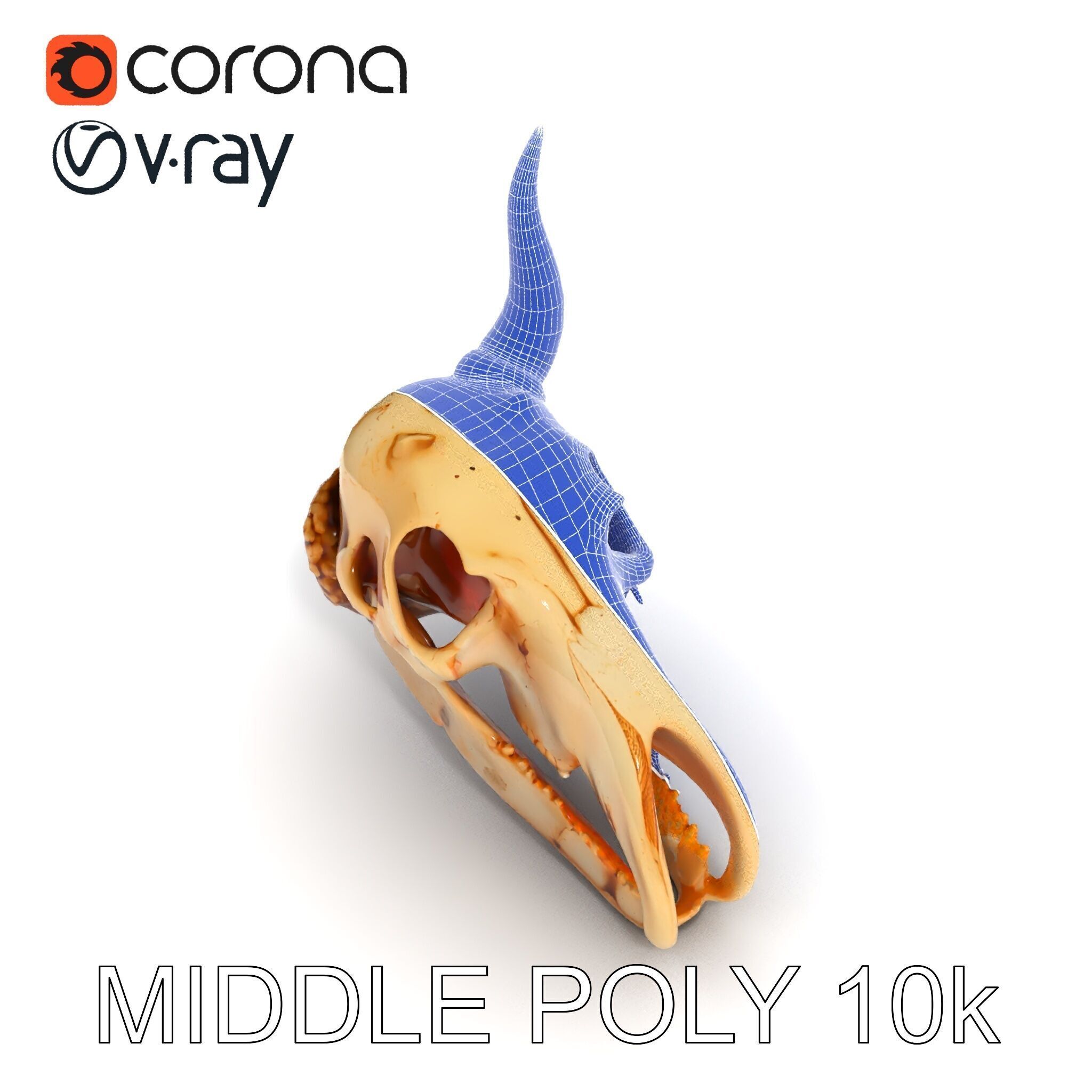Horned Animal Skull D Model Pack Low-poly 3D model_17