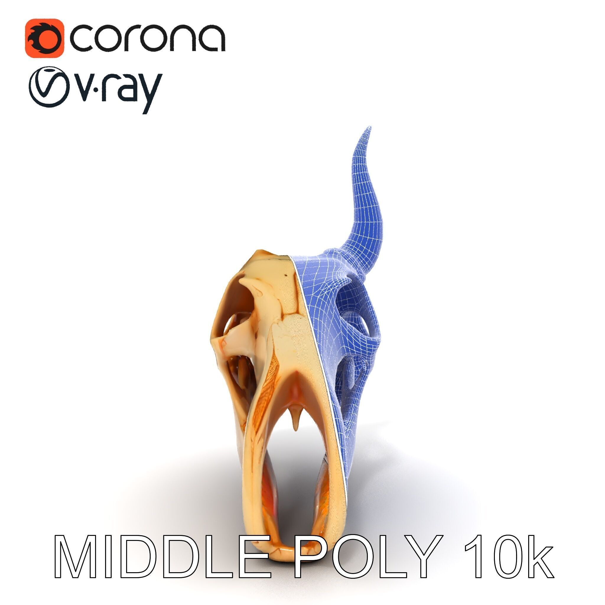 Horned Animal Skull D Model Pack Low-poly 3D model_27
