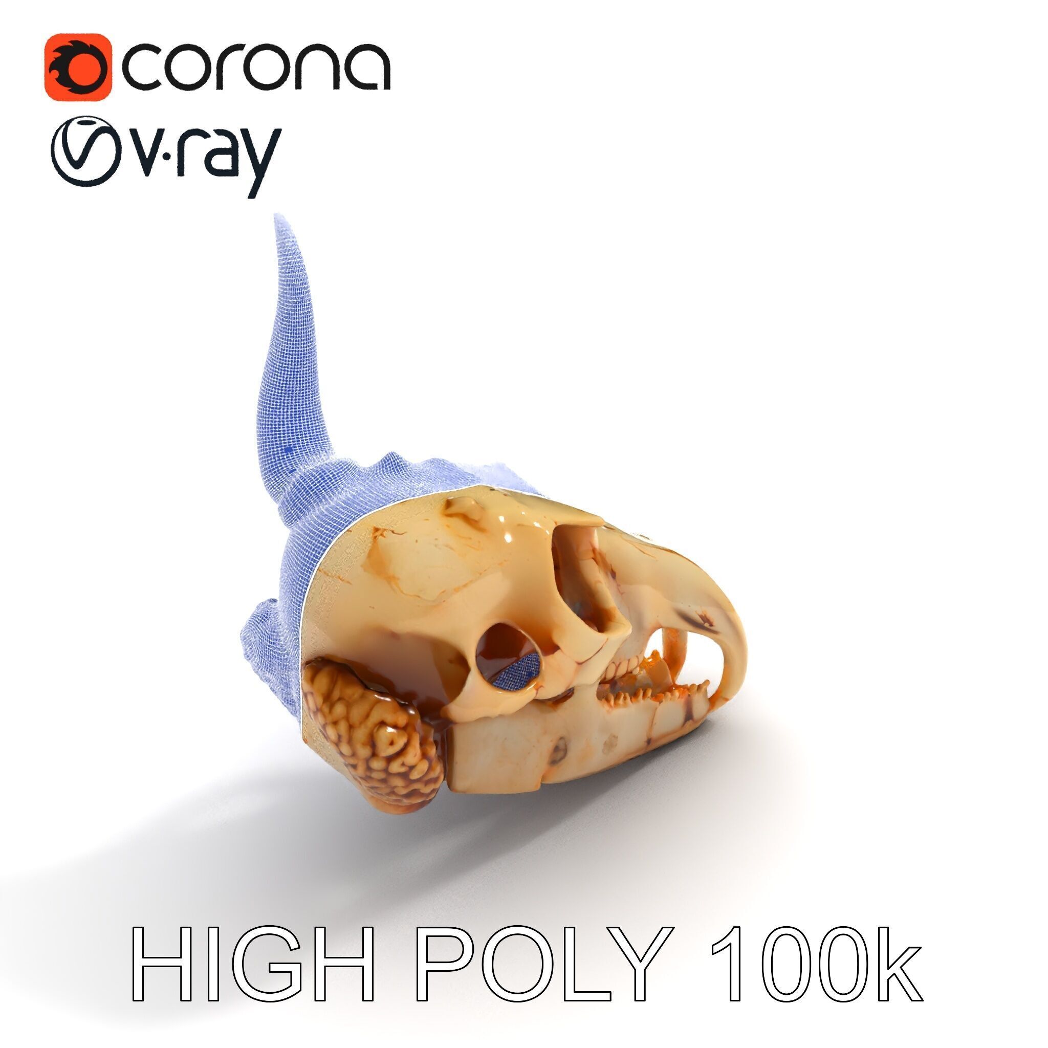 Horned Animal Skull D Model Pack Low-poly 3D model_14