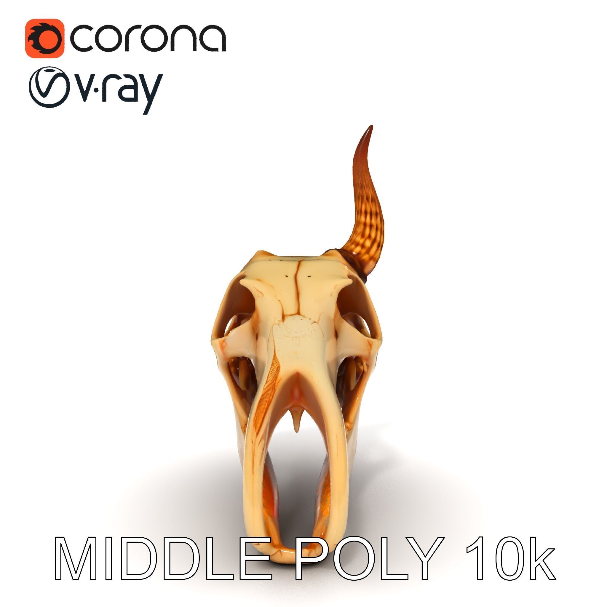 Horned Animal Skull D Model Pack Low-poly 3D model_9