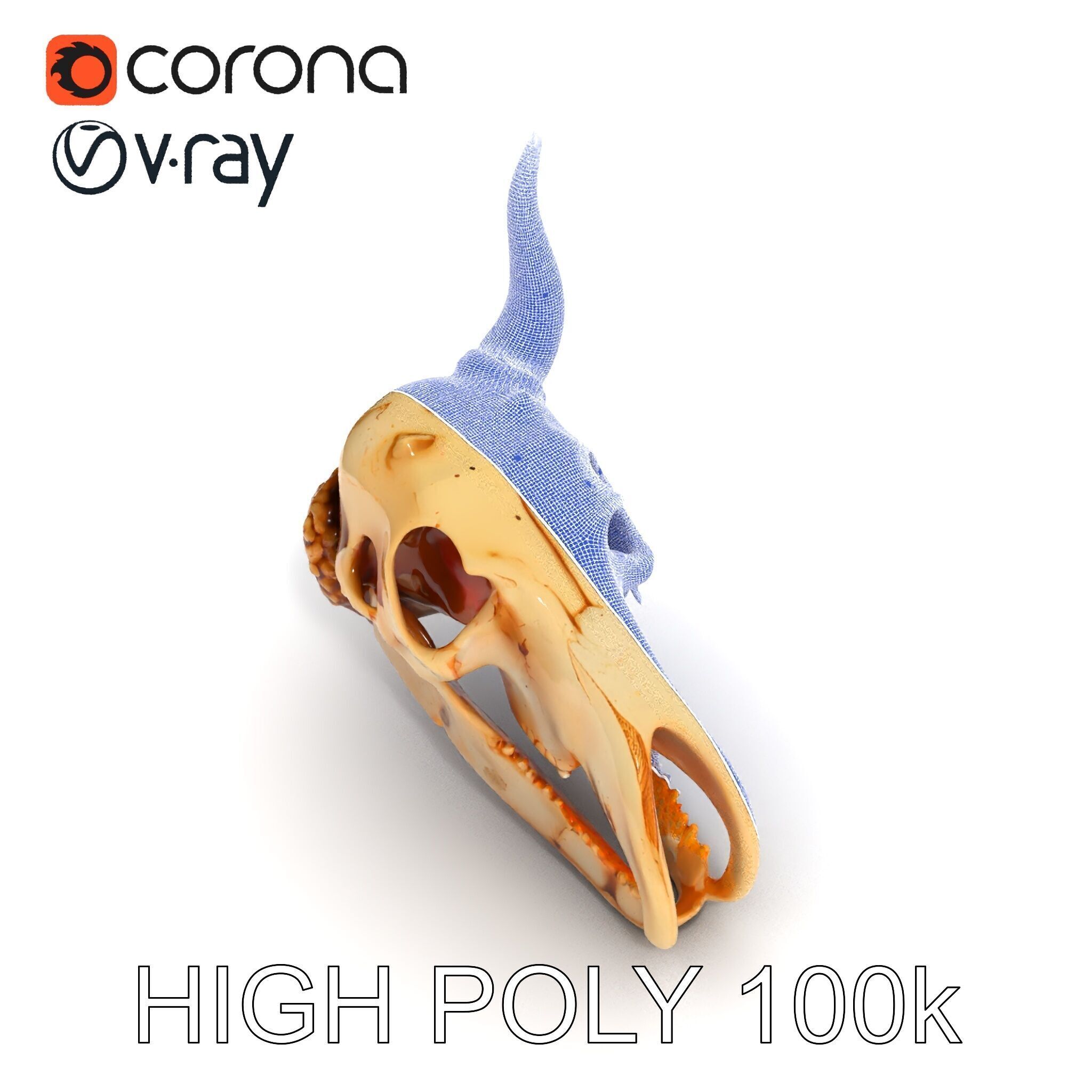 Horned Animal Skull D Model Pack Low-poly 3D model_35