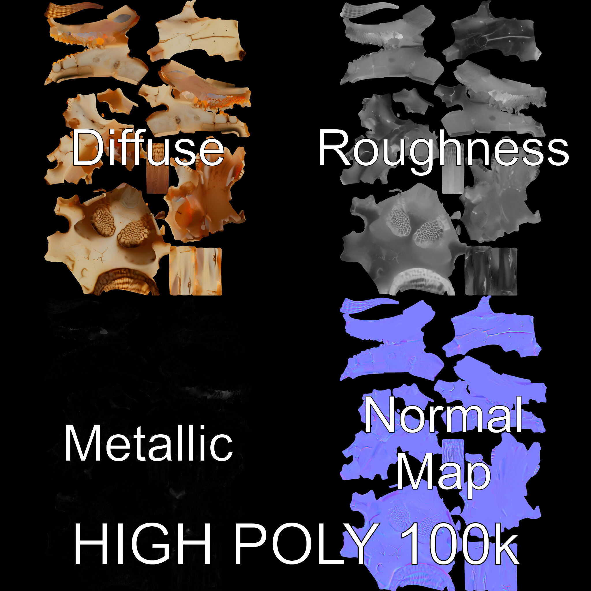 Horned Animal Skull D Model Pack Low-poly 3D model_2