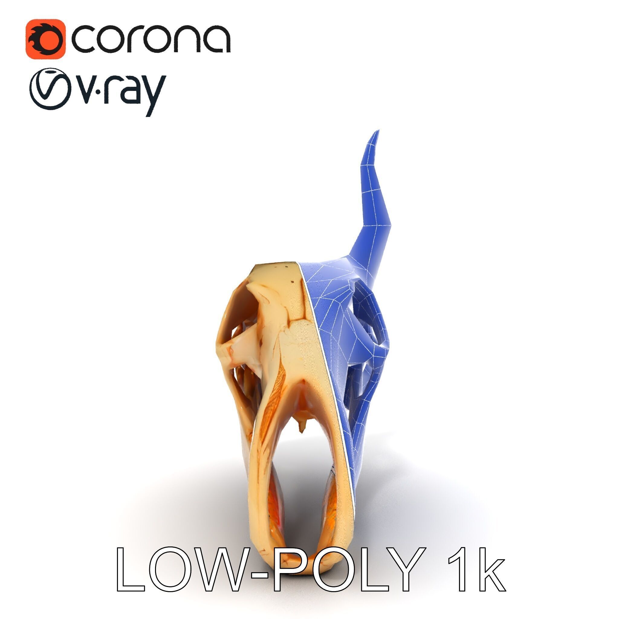 Horned Animal Skull D Model Pack Low-poly 3D model_31
