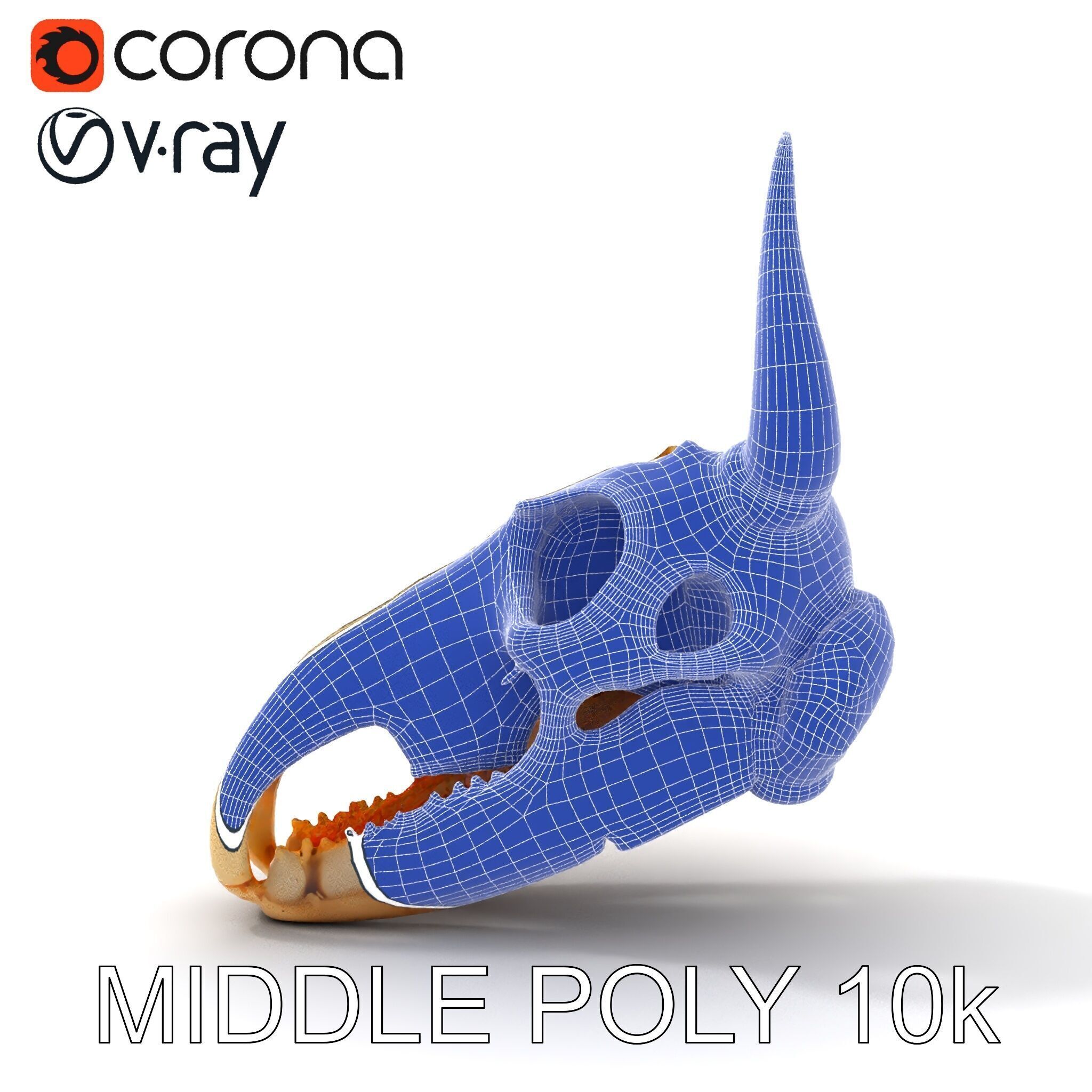 Horned Animal Skull D Model Pack Low-poly 3D model_25