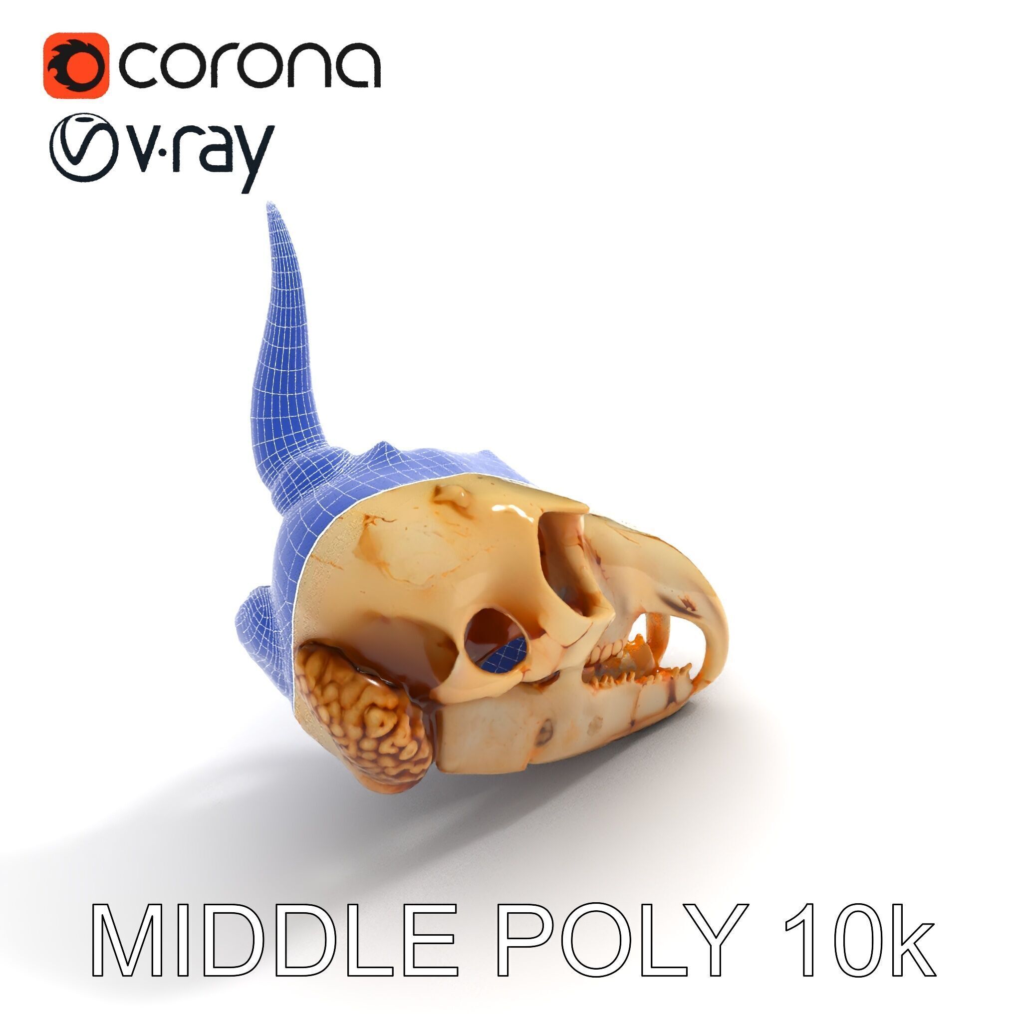 Horned Animal Skull D Model Pack Low-poly 3D model_30