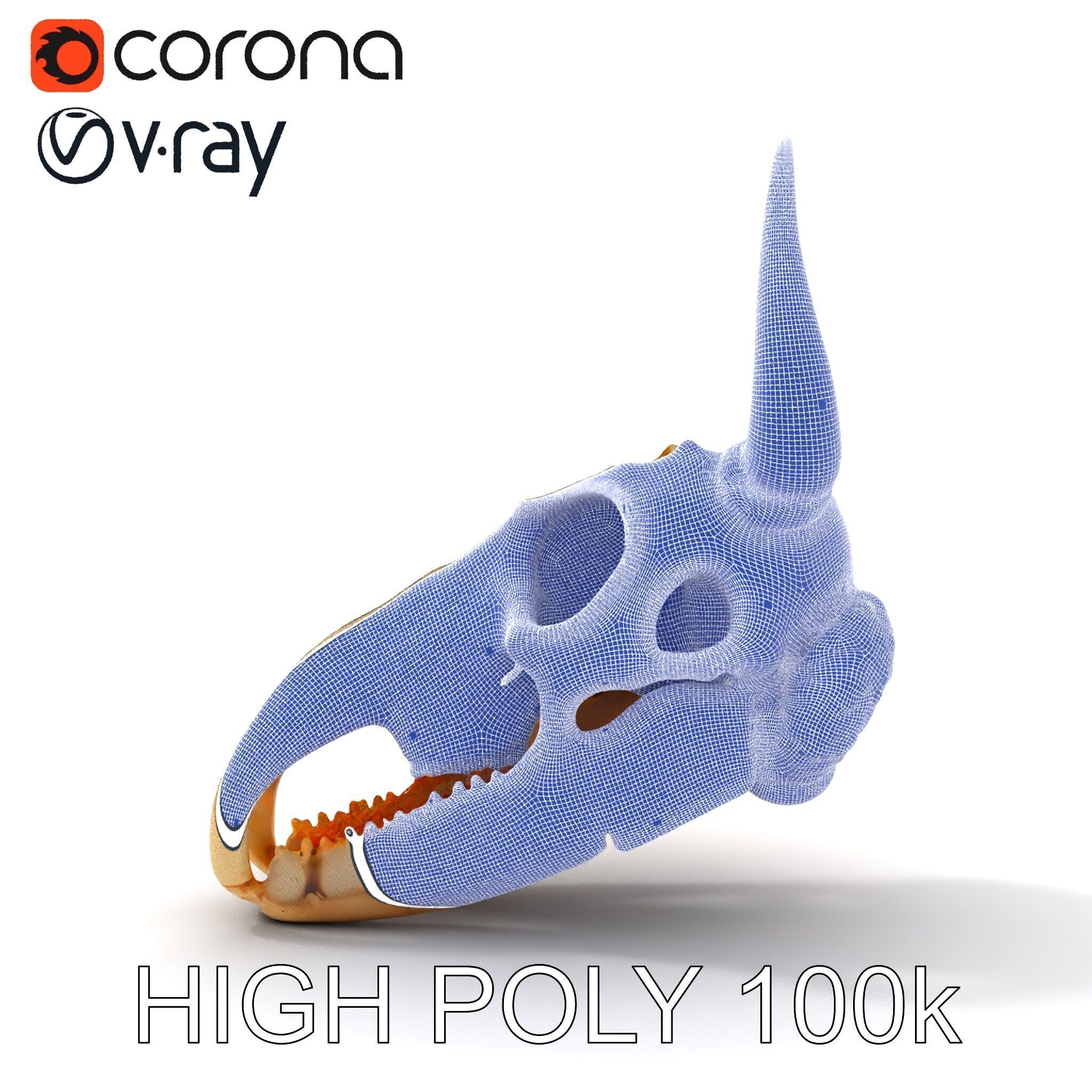 Horned Animal Skull D Model Pack Low-poly 3D model_32