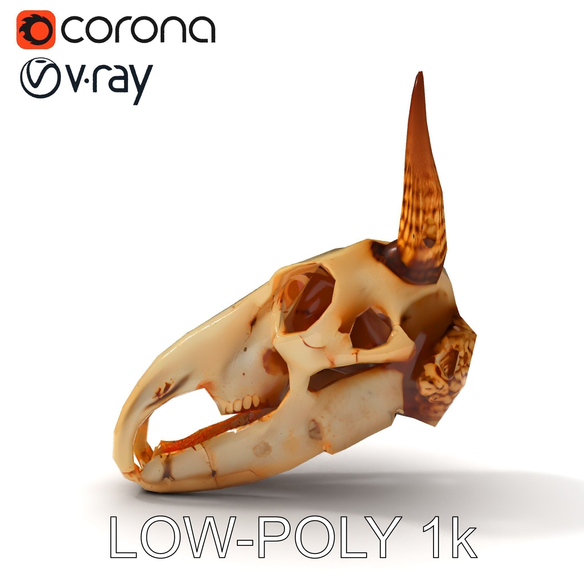 Horned Animal Skull D Model Pack Low-poly 3D model_16