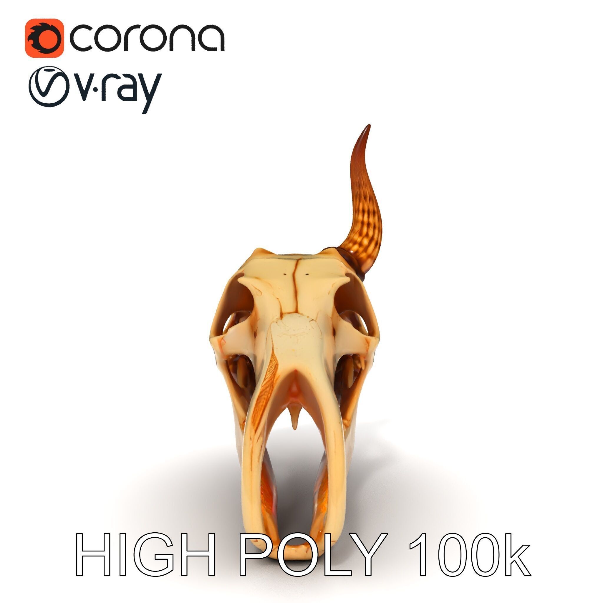 Horned Animal Skull D Model Pack Low-poly 3D model_22