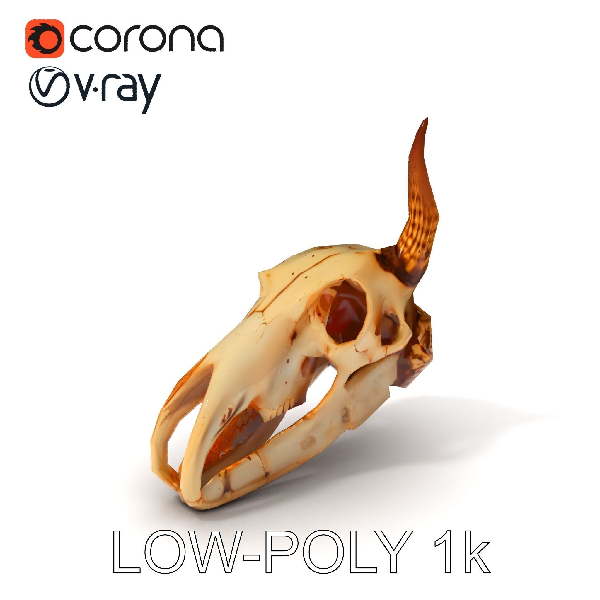 Horned Animal Skull D Model Pack Low-poly 3D model_24