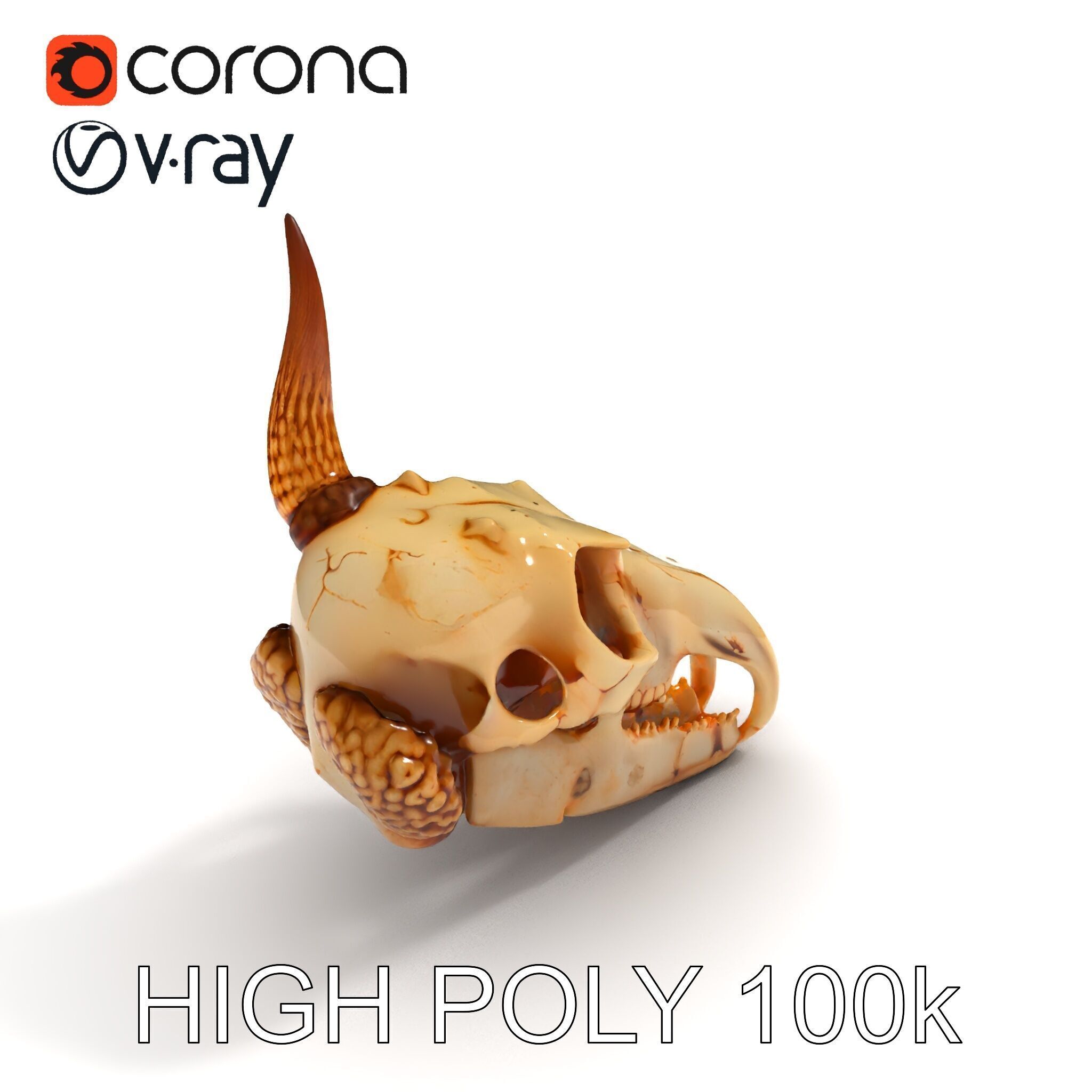 Horned Animal Skull D Model Pack Low-poly 3D model_8