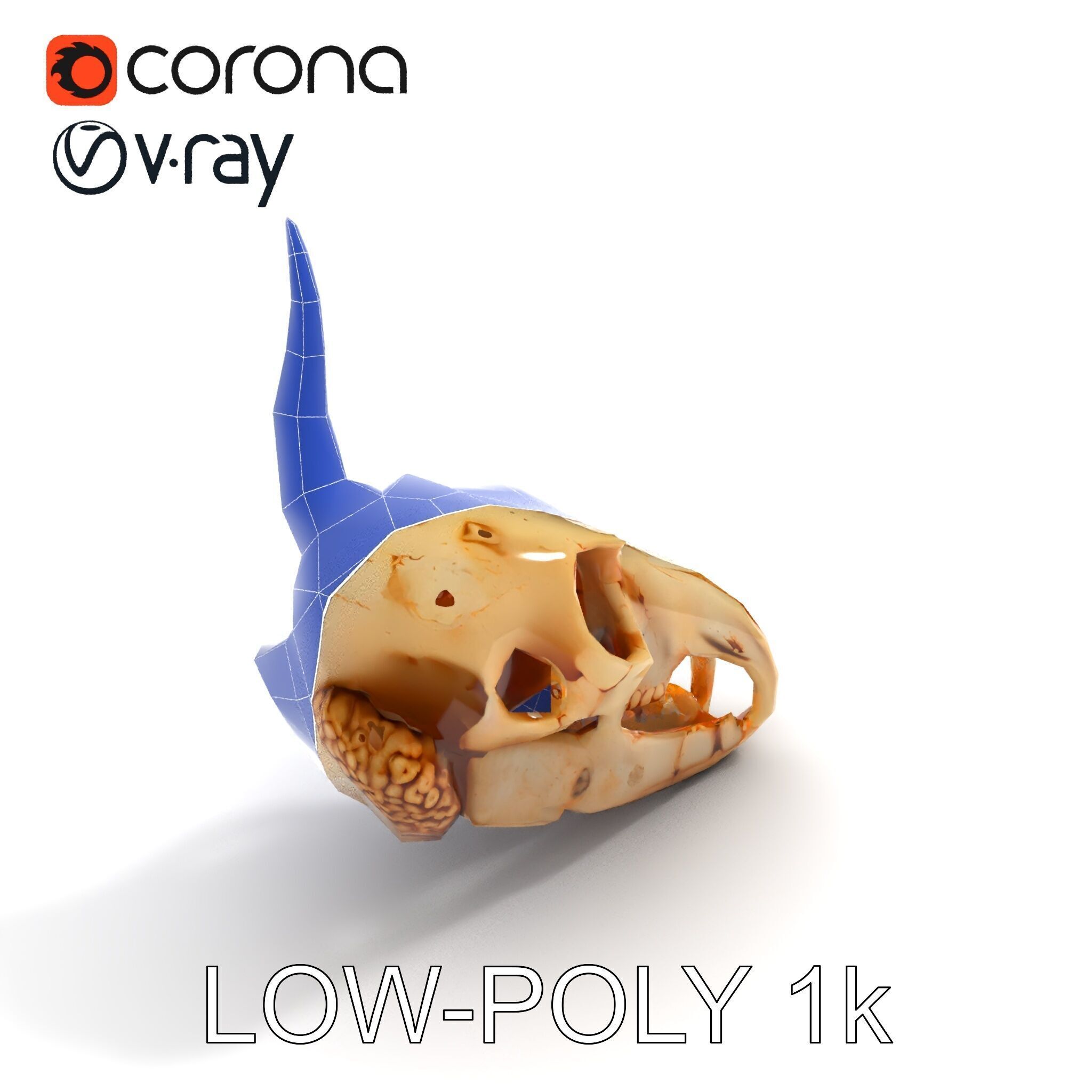 Horned Animal Skull D Model Pack Low-poly 3D model_26