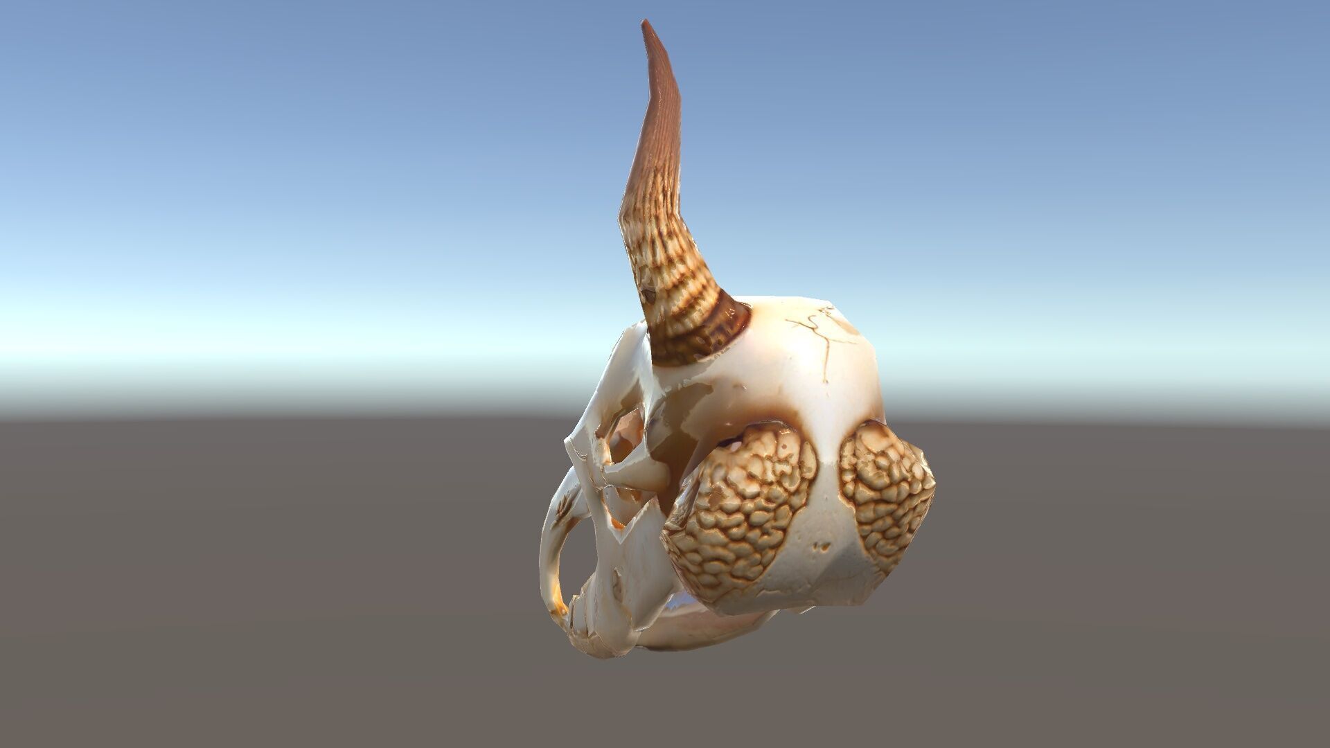 Horned Animal Skull D Model Pack Low-poly 3D model_28