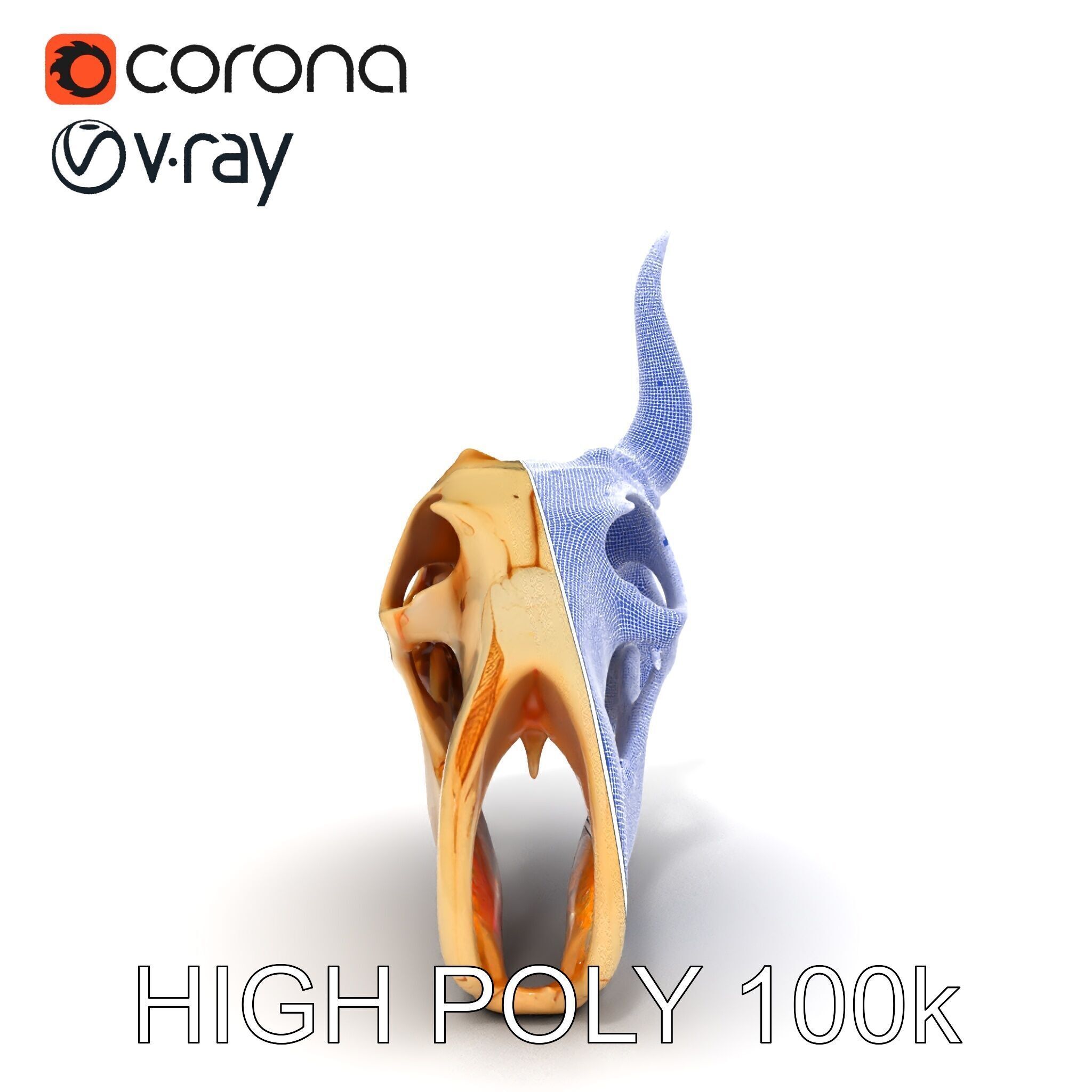 Horned Animal Skull D Model Pack Low-poly 3D model_19