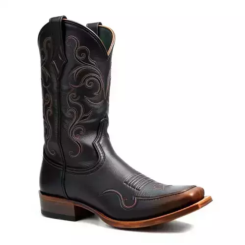 Decorative Cowboy Boot D Model Pack Low-poly 3D model