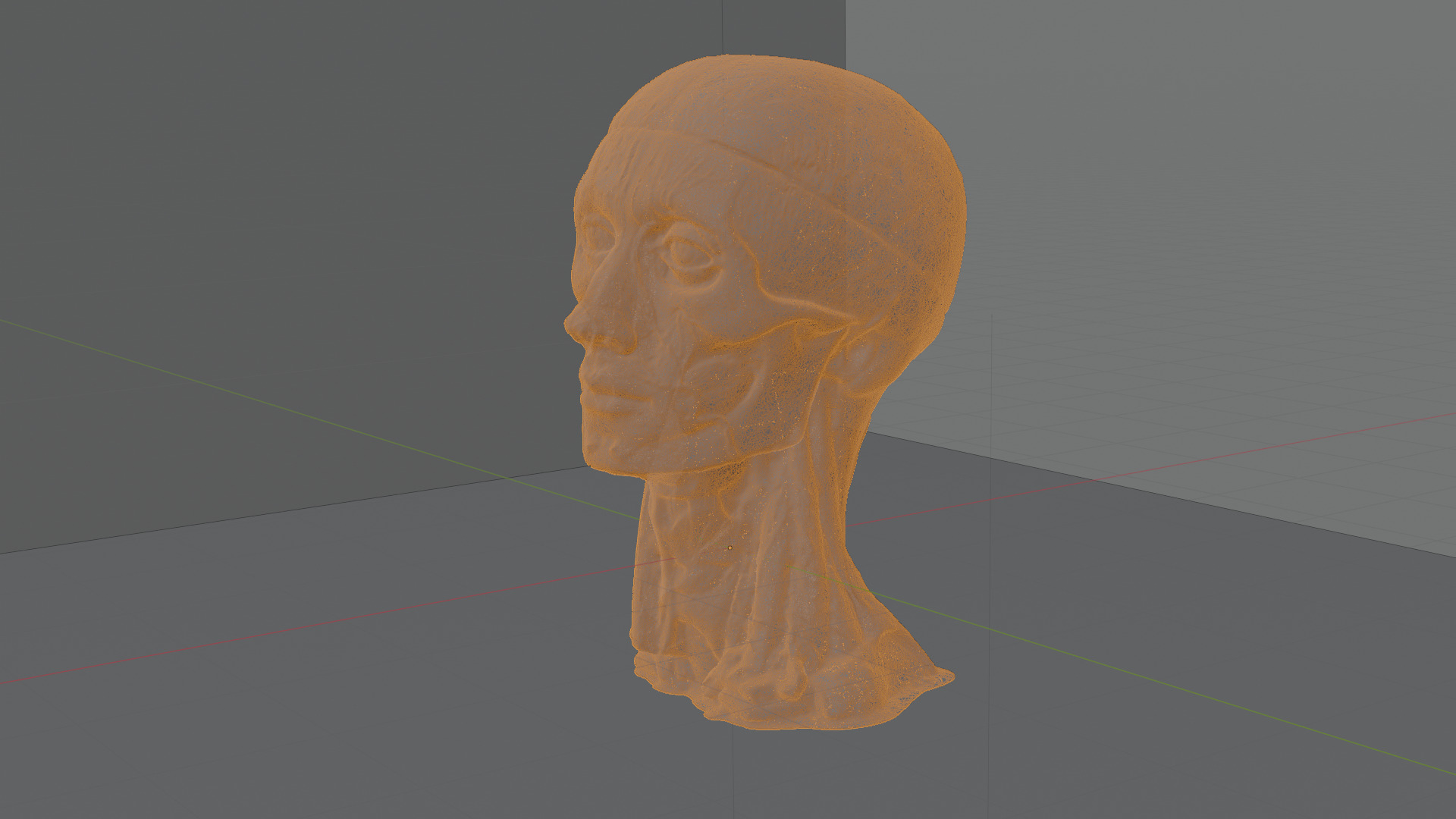 Realistic Highly Detailed Real Face Anatomy 3D Model  3D model_7