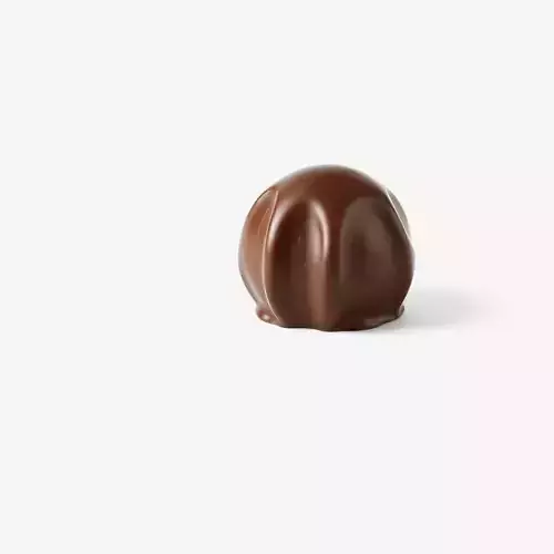 Realistic Chocolate Truffle D Model Pack