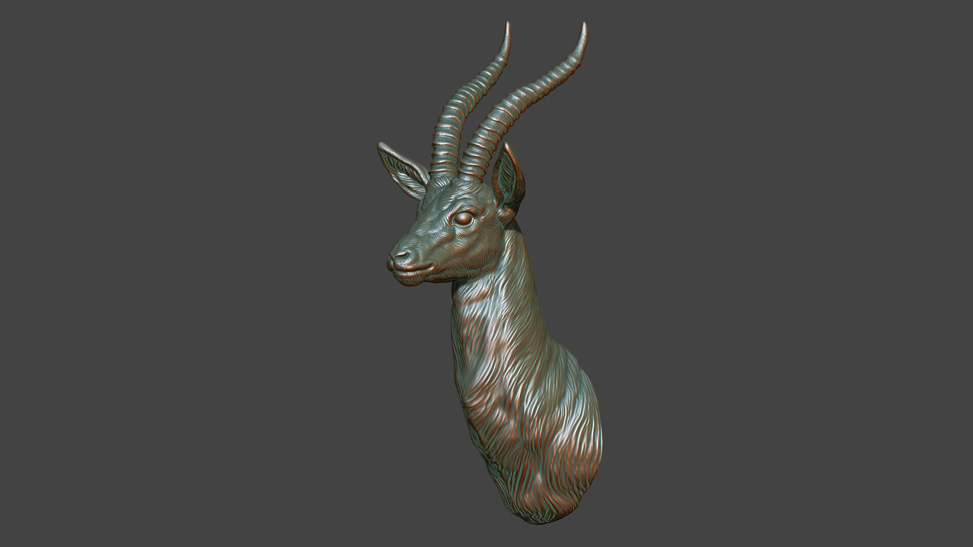 Thomsons Gazelle bust 3D print model_2