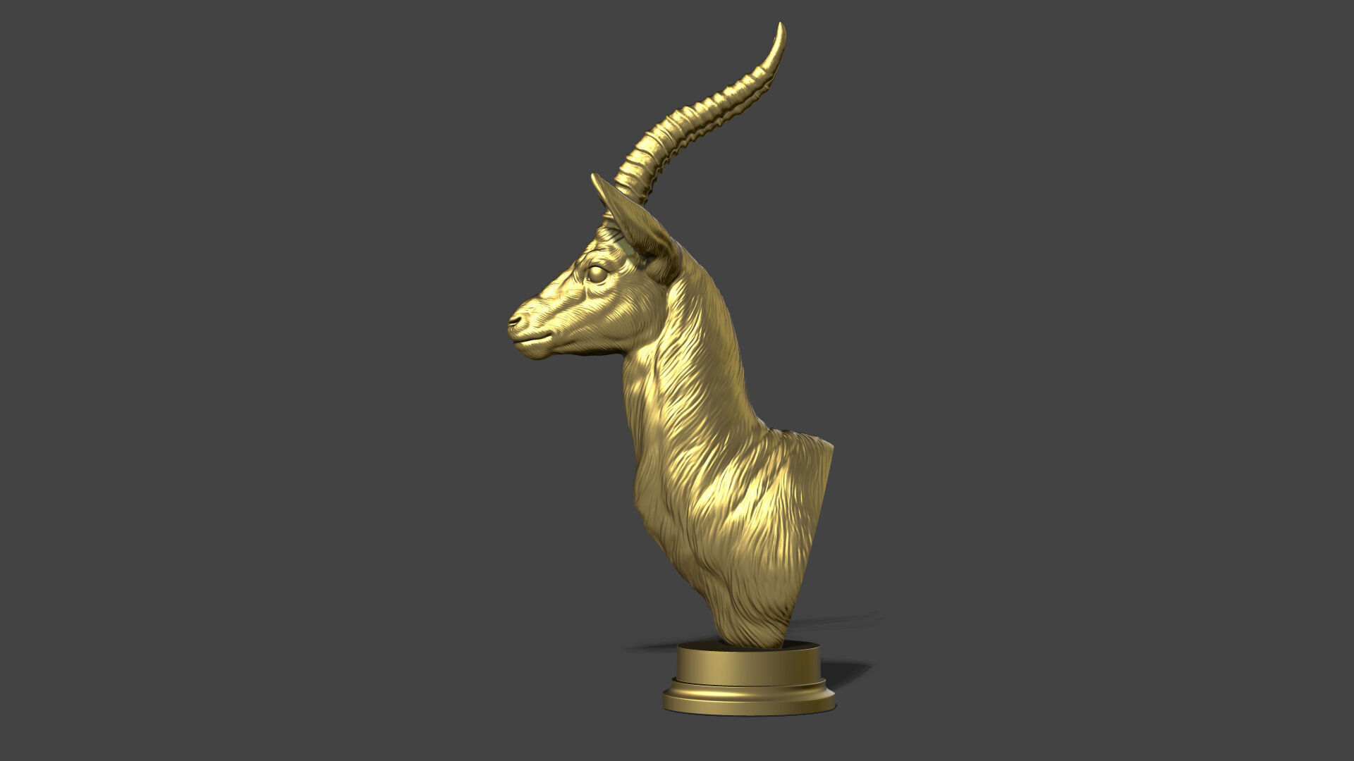 Thomsons Gazelle bust 3D print model_22