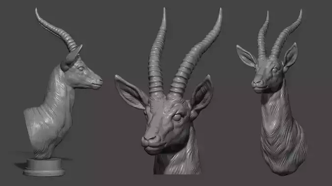 Thomsons Gazelle bust 3D print model