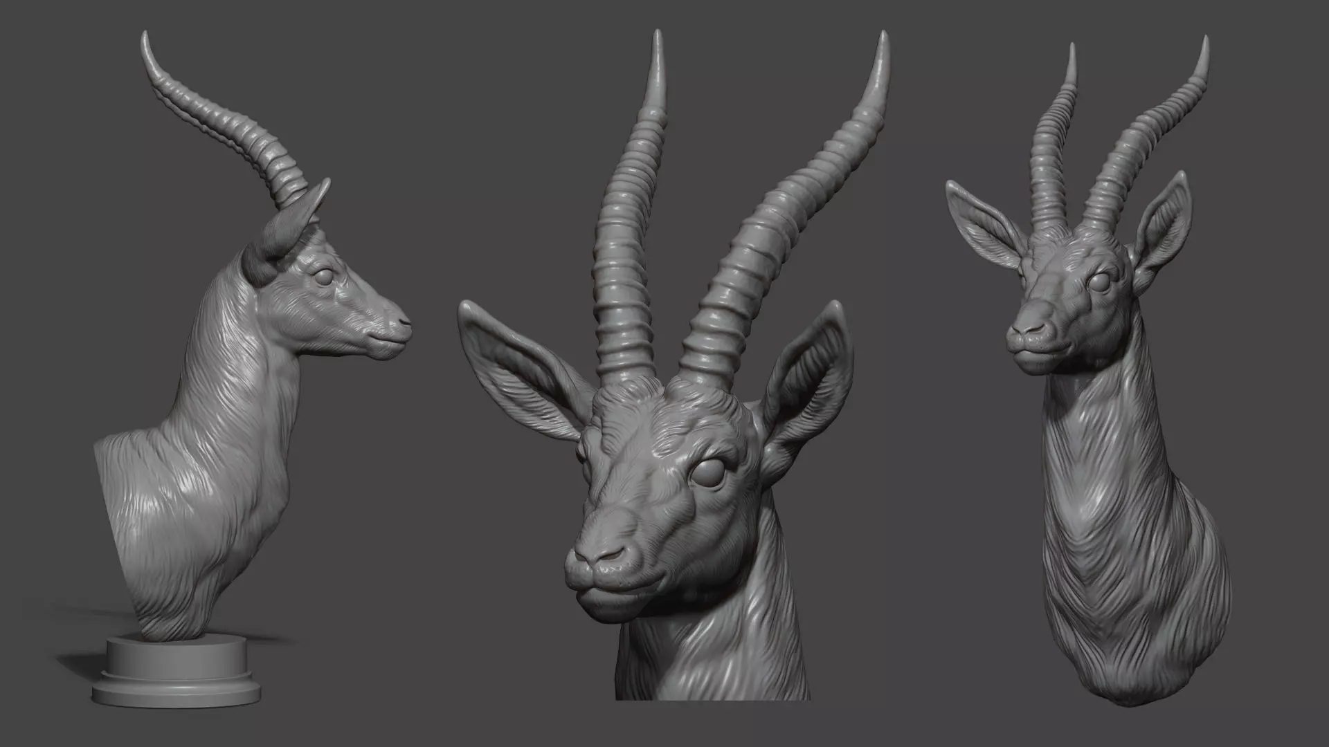 Thomsons Gazelle bust 3D print model_0