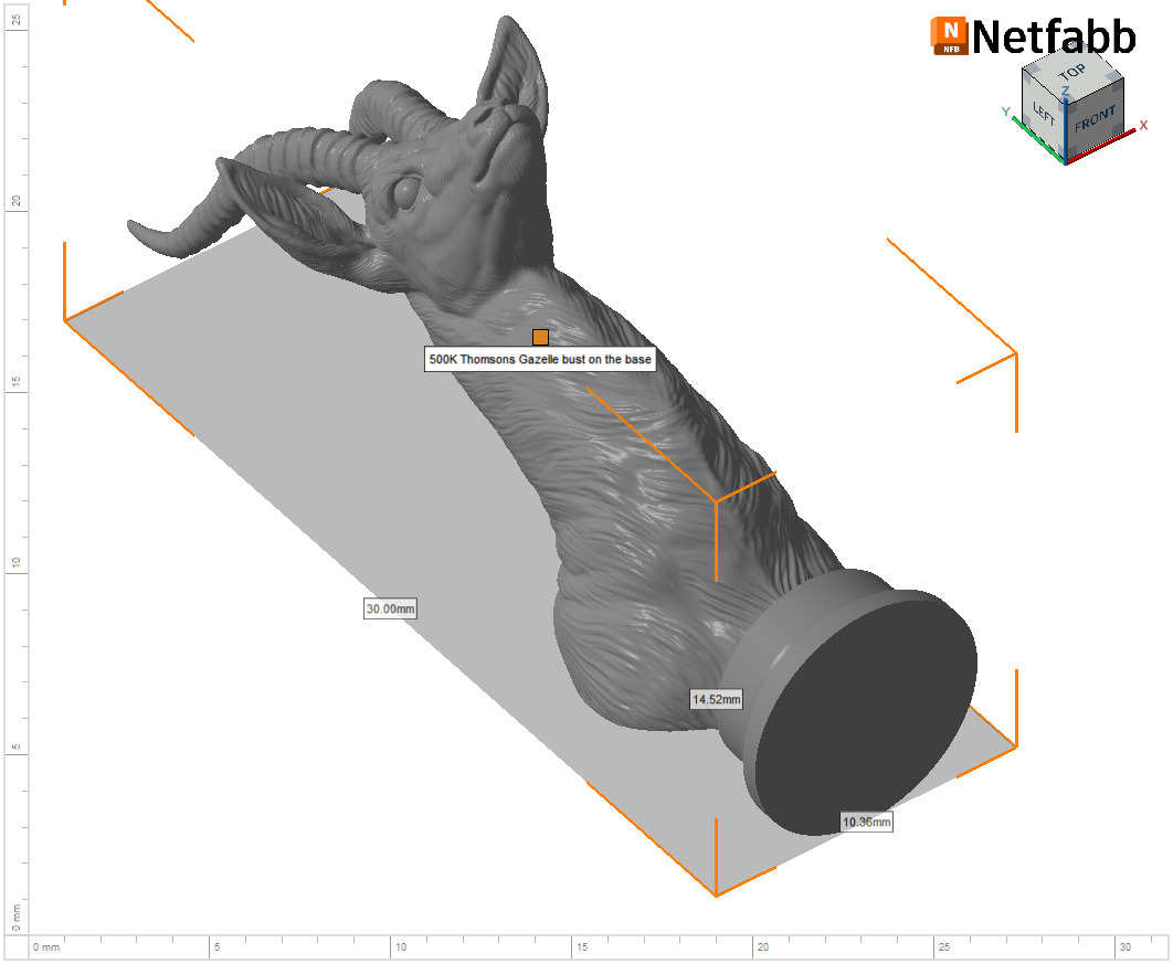 Thomsons Gazelle bust 3D print model_25