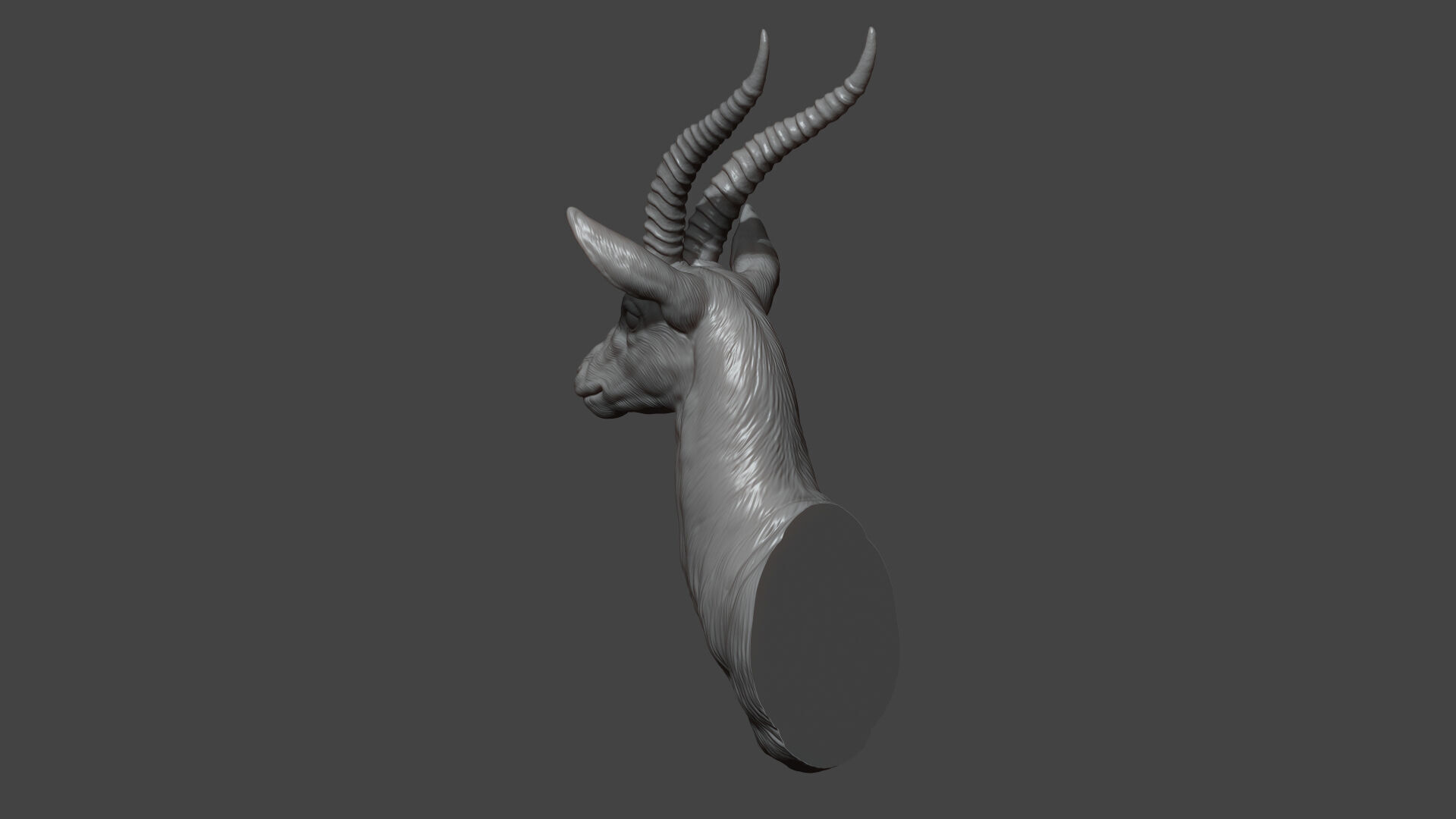 Thomsons Gazelle bust 3D print model_7