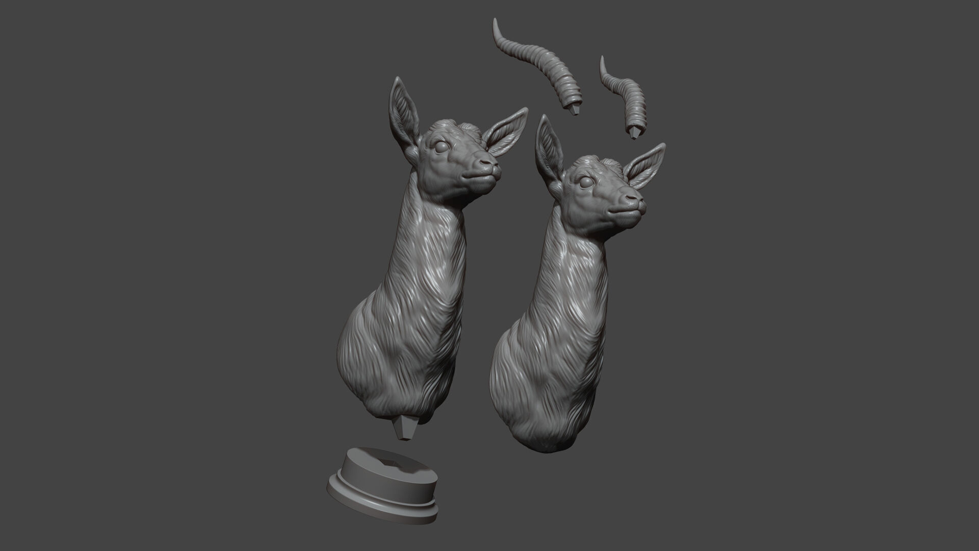 Thomsons Gazelle bust 3D print model_16