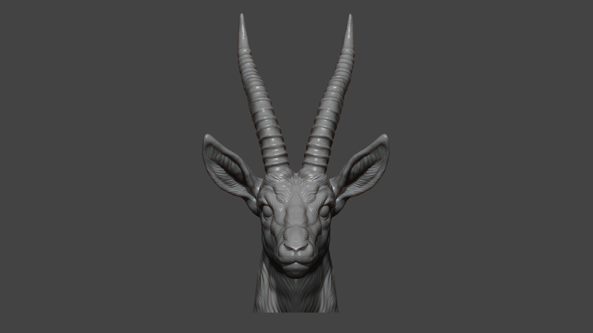 Thomsons Gazelle bust 3D print model_5