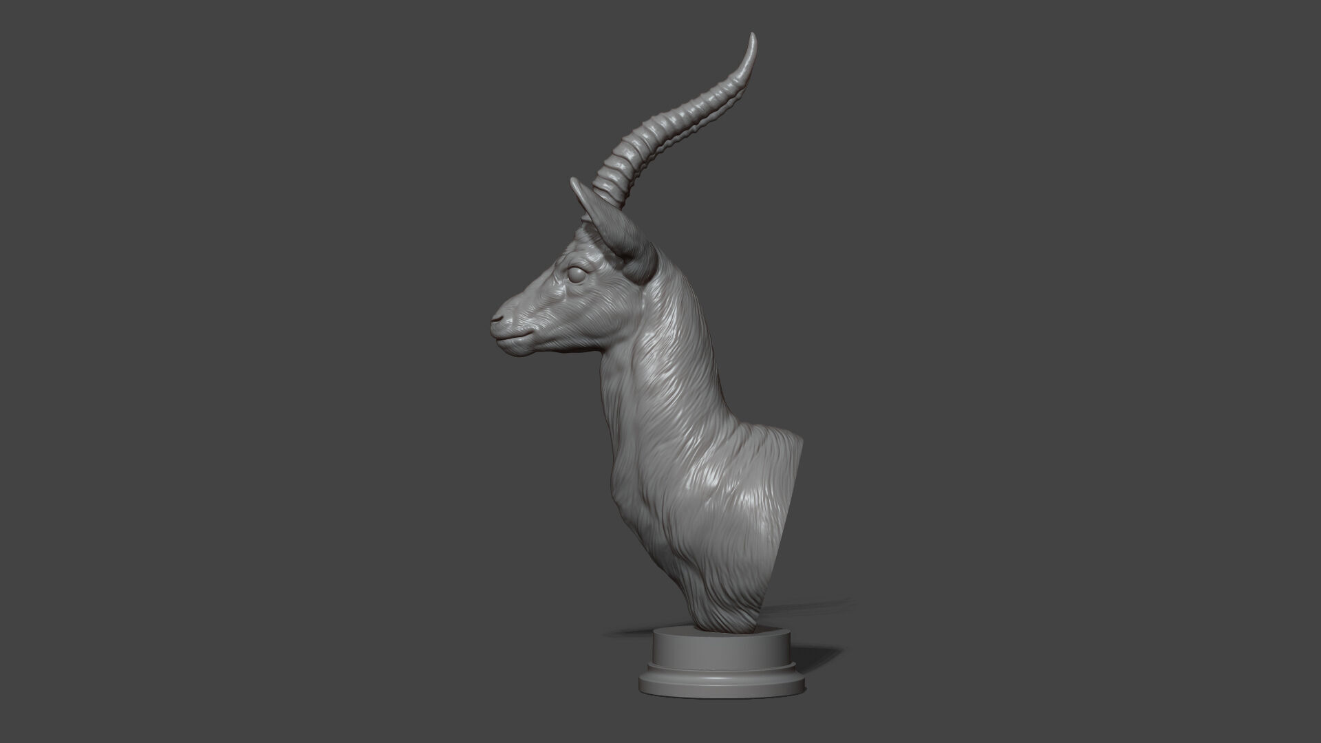 Thomsons Gazelle bust 3D print model_20