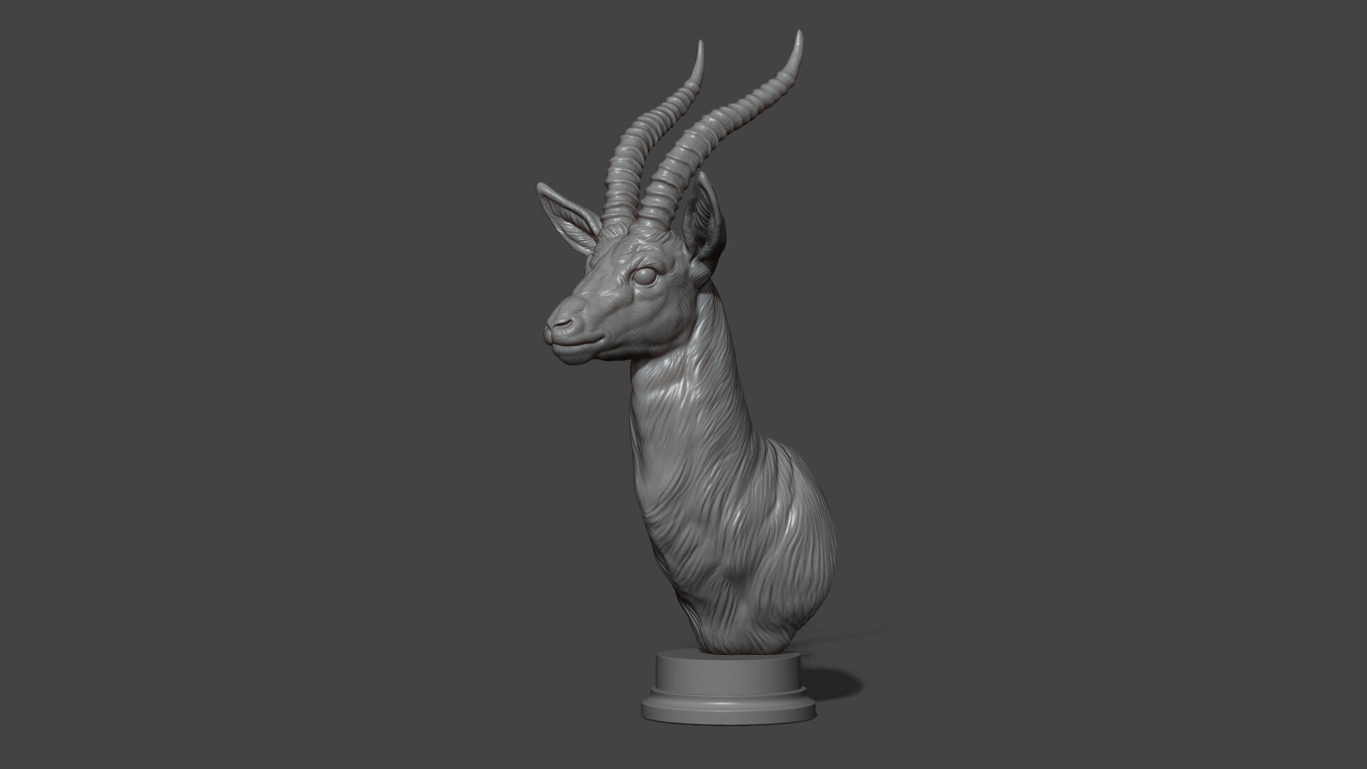 Thomsons Gazelle bust 3D print model_18