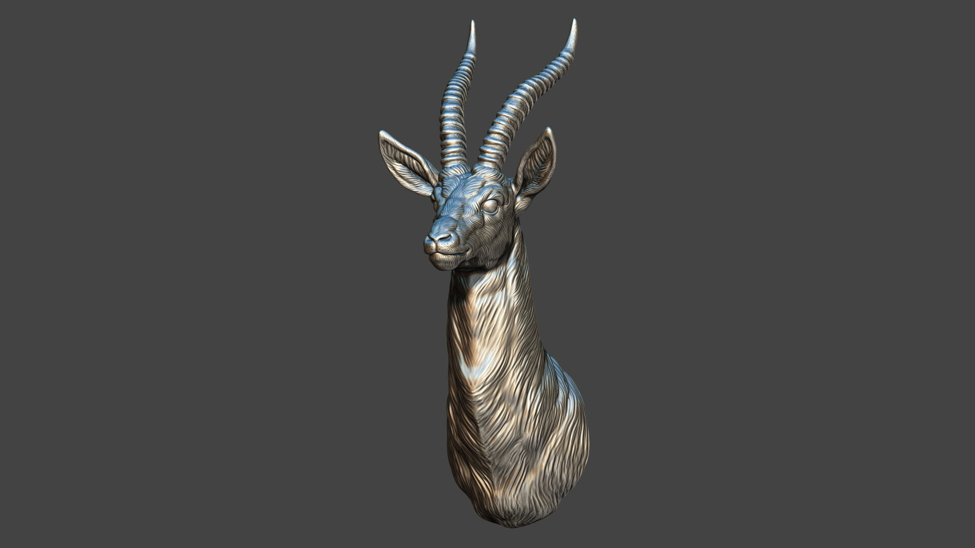 Thomsons Gazelle bust 3D print model_3