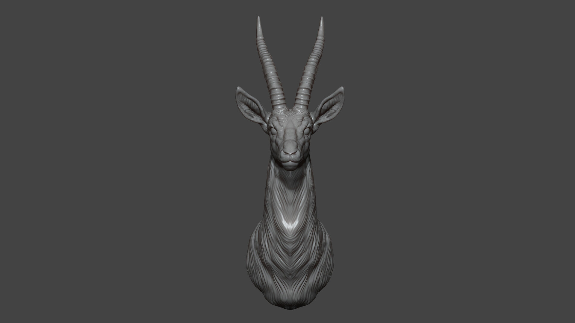 Thomsons Gazelle bust 3D print model_6