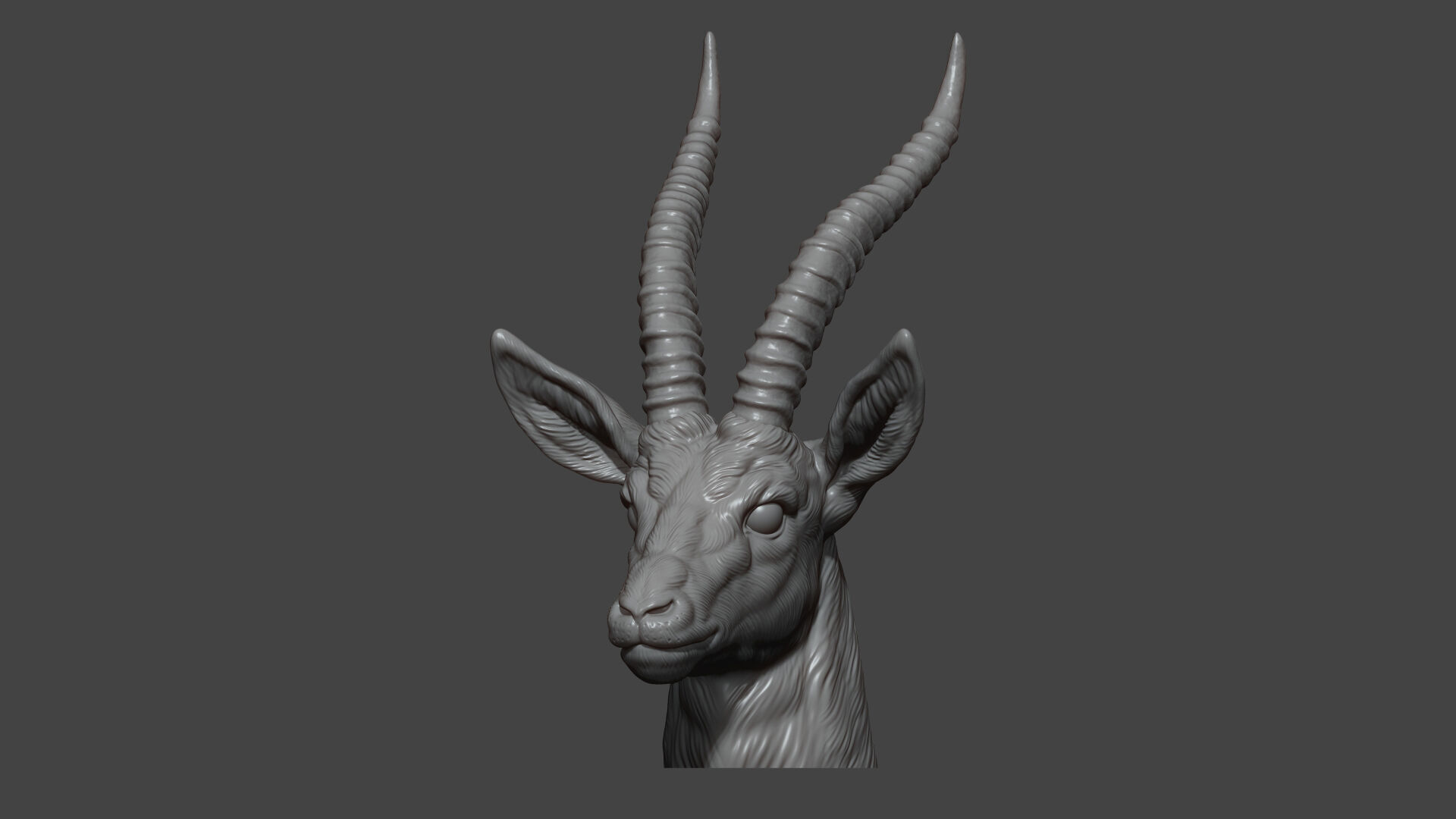 Thomsons Gazelle bust 3D print model_10