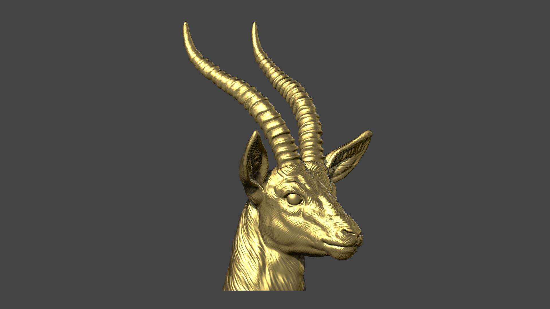 Thomsons Gazelle bust 3D print model_15