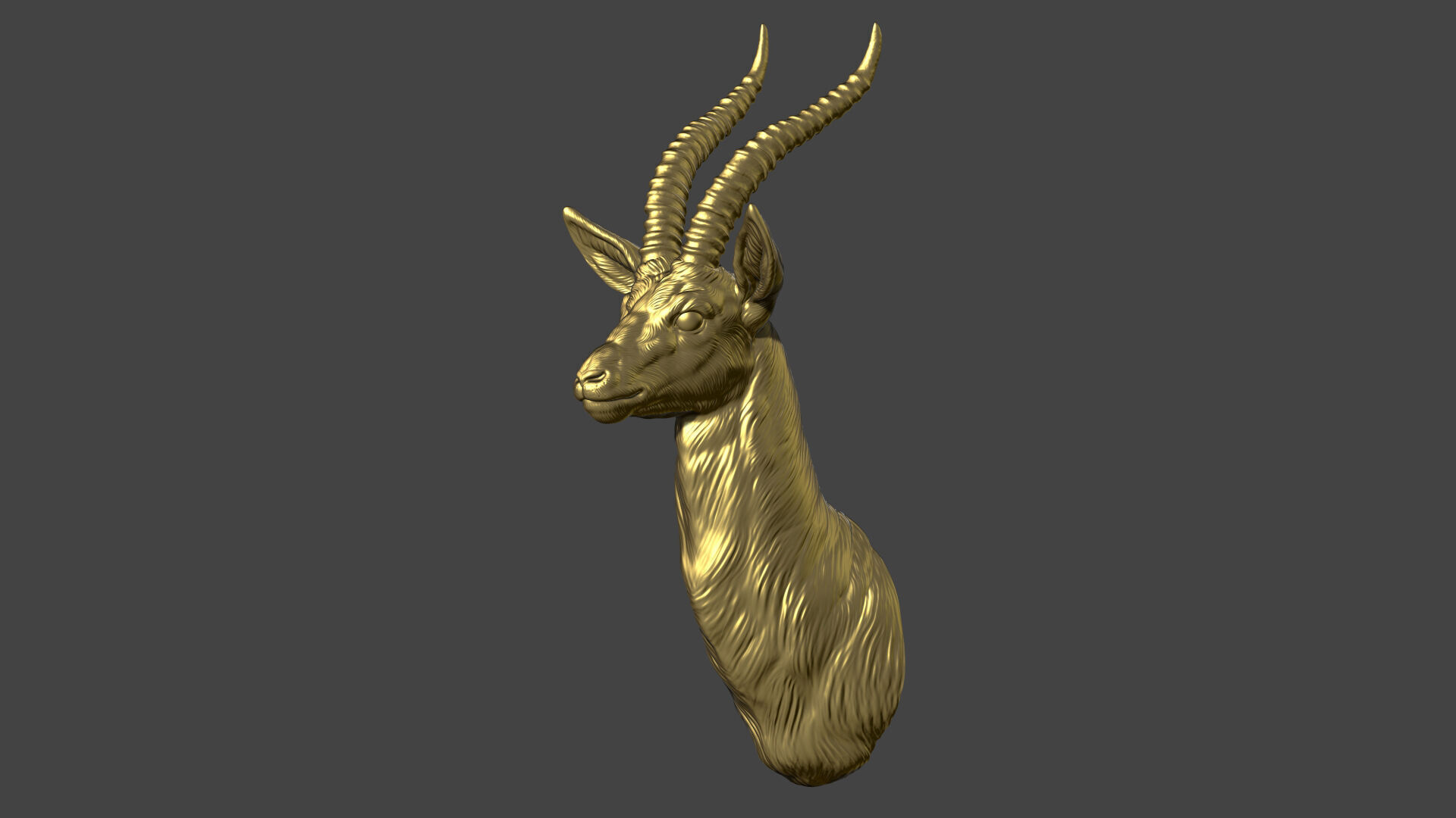 Thomsons Gazelle bust 3D print model_4