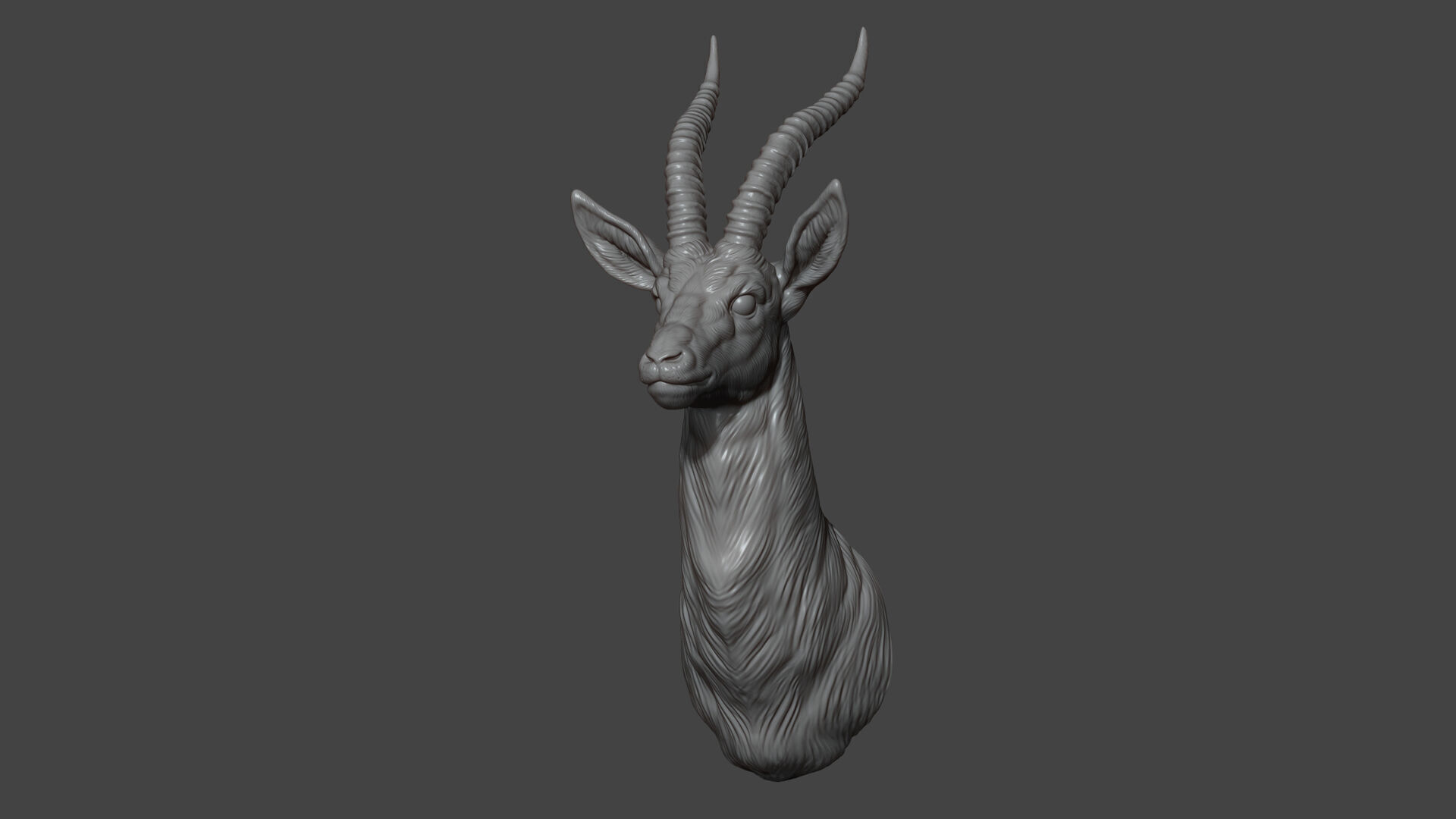 Thomsons Gazelle bust 3D print model_8