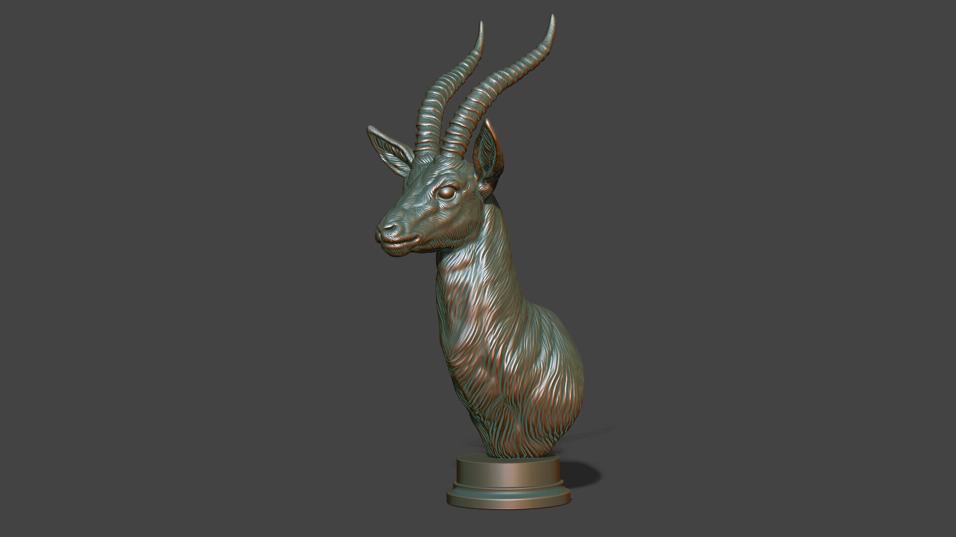 Thomsons Gazelle bust 3D print model_21