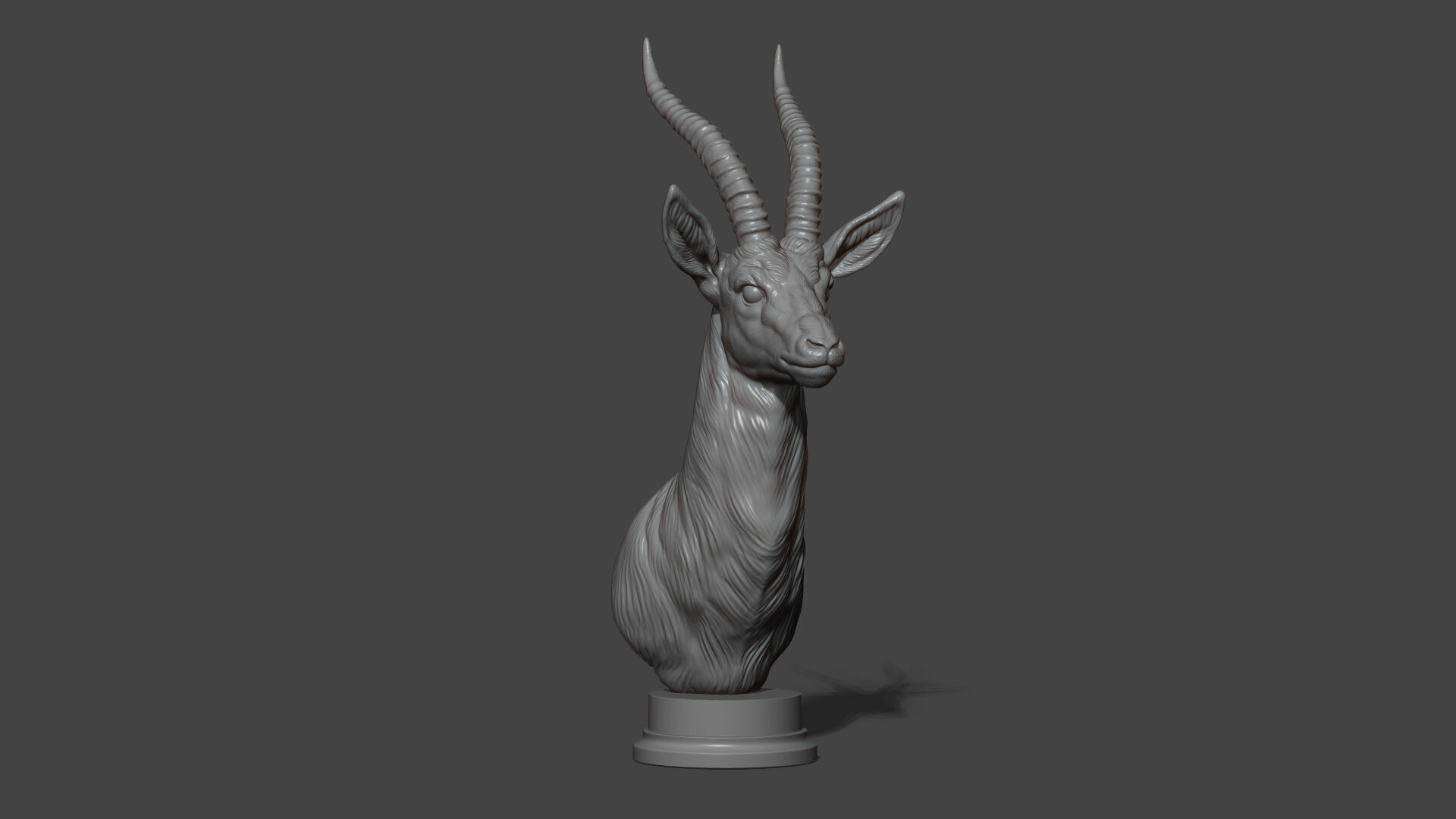 Thomsons Gazelle bust 3D print model_19