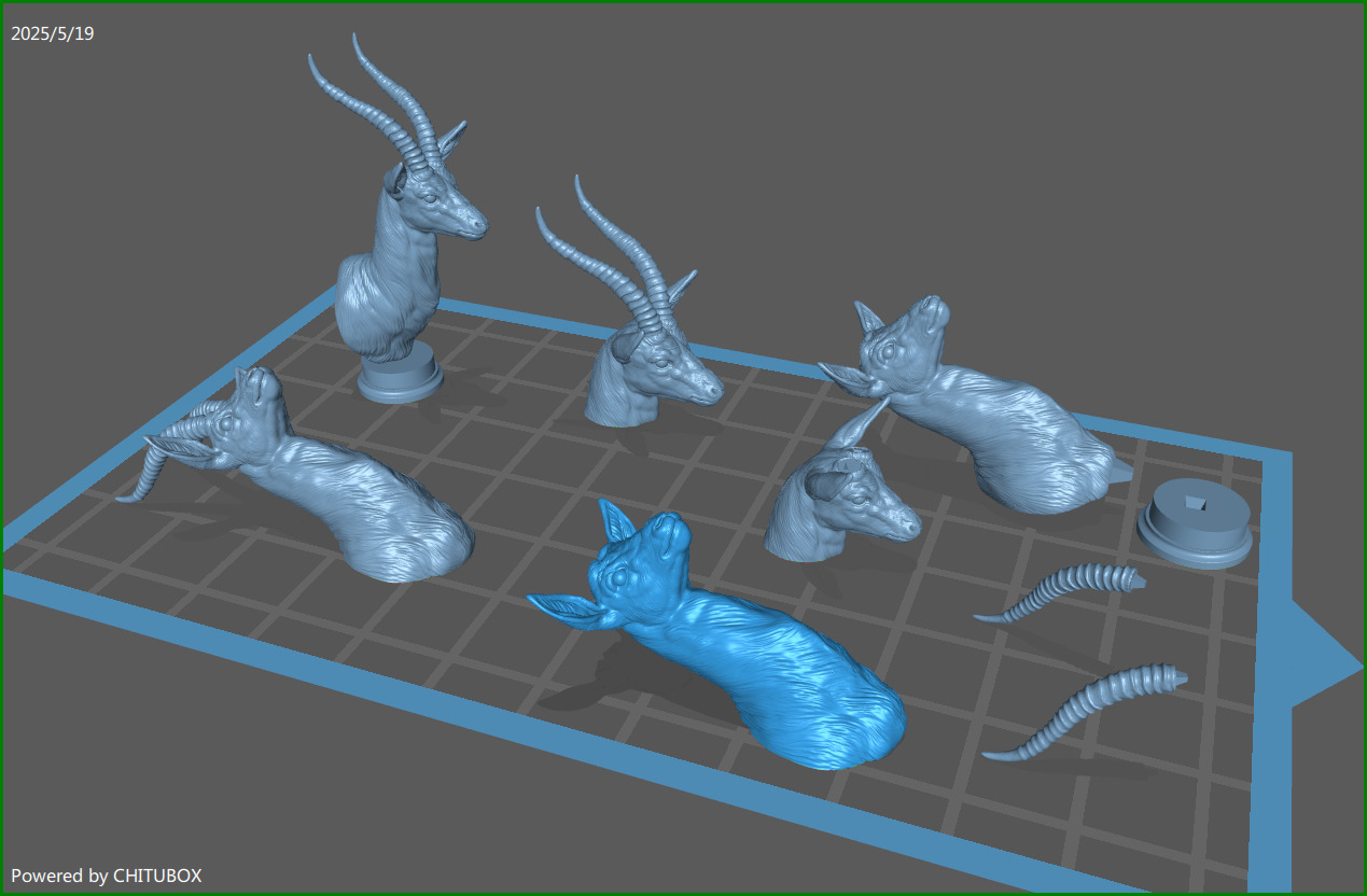 Thomsons Gazelle bust 3D print model_1