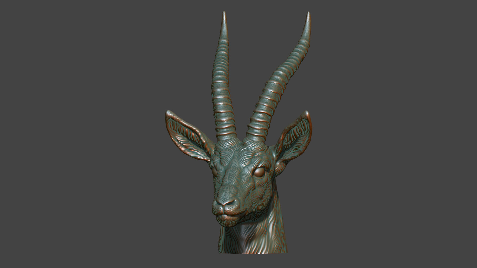 Thomsons Gazelle bust 3D print model_13
