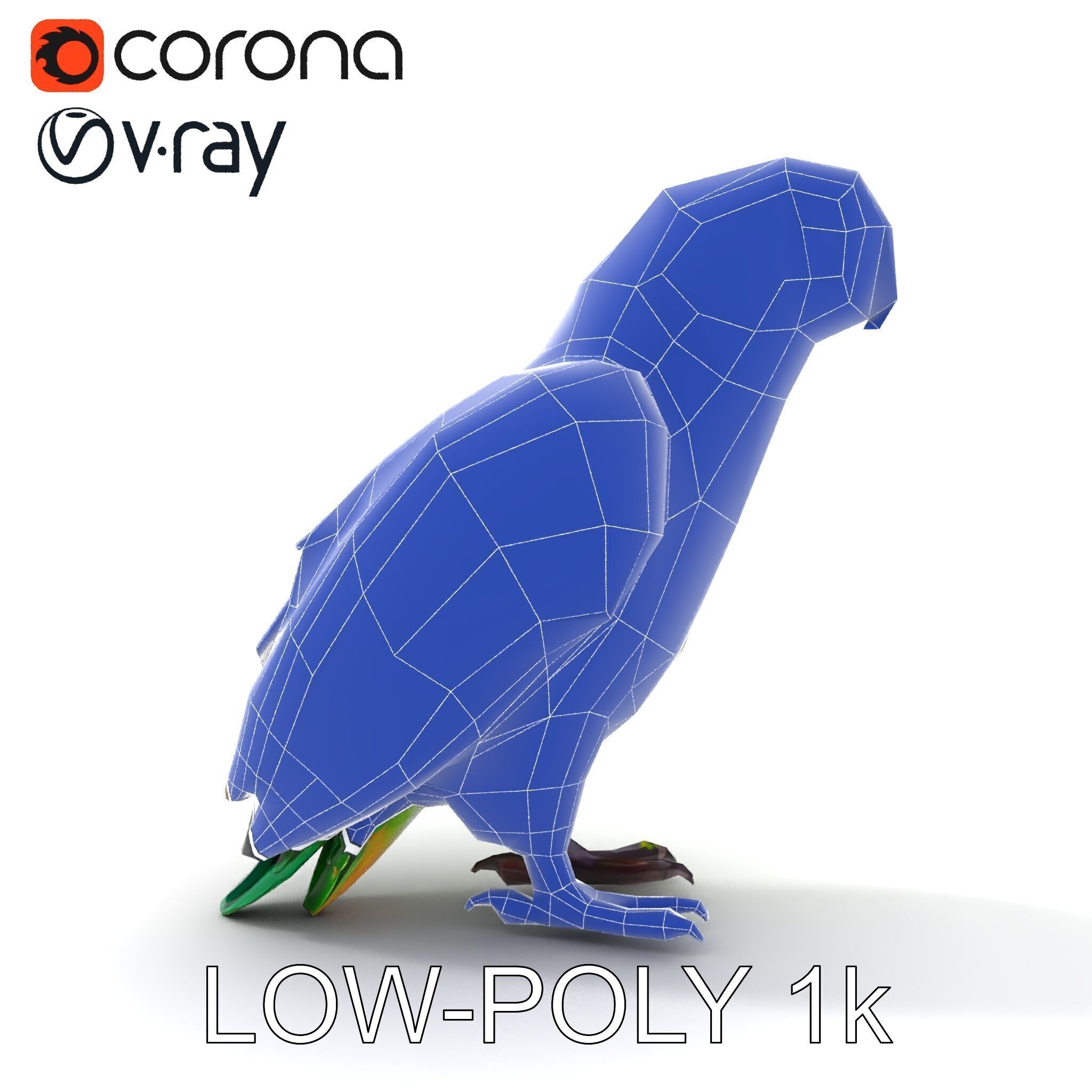 Vibrant Parrot D Model Pack Low-poly 3D model_29