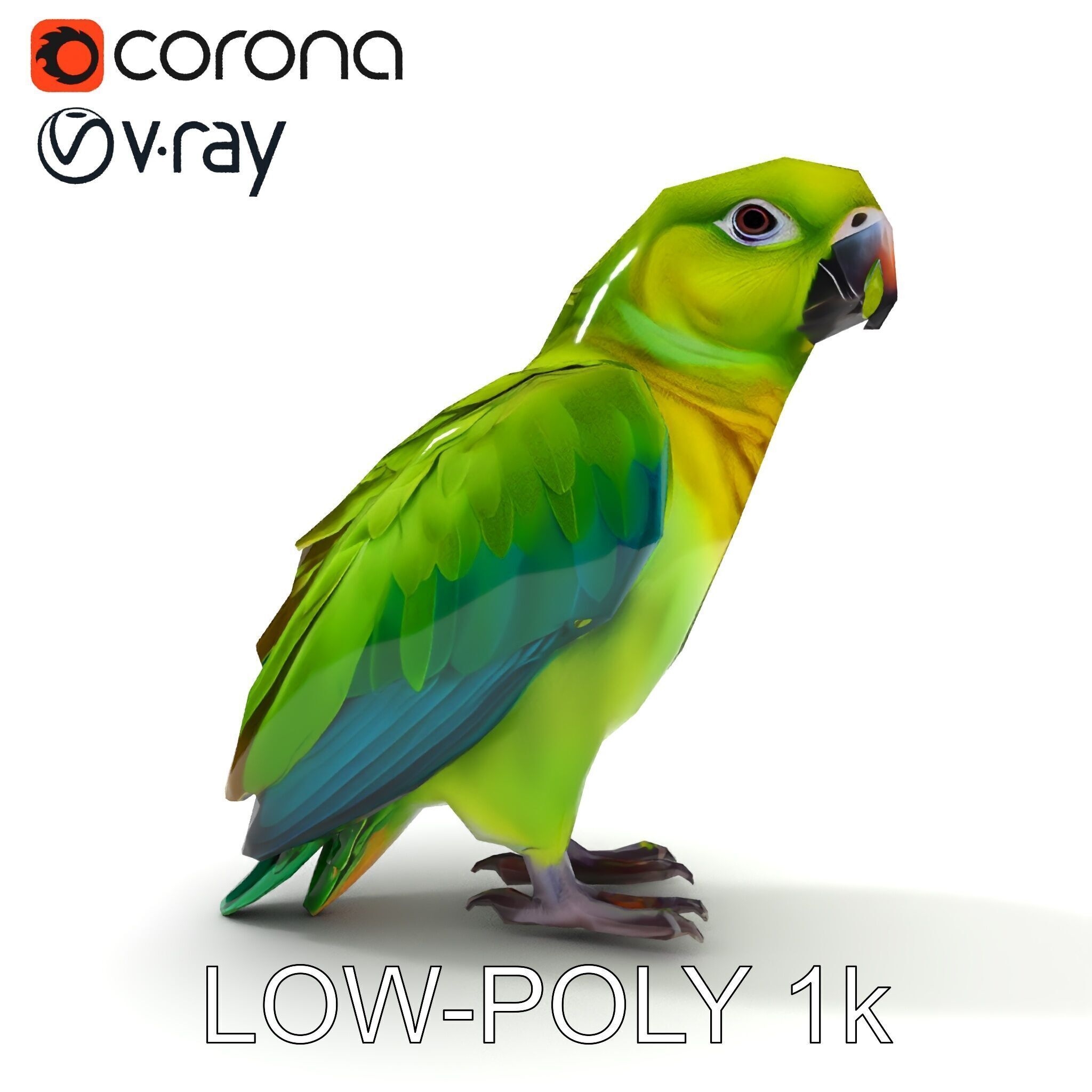 Vibrant Parrot D Model Pack Low-poly 3D model_15