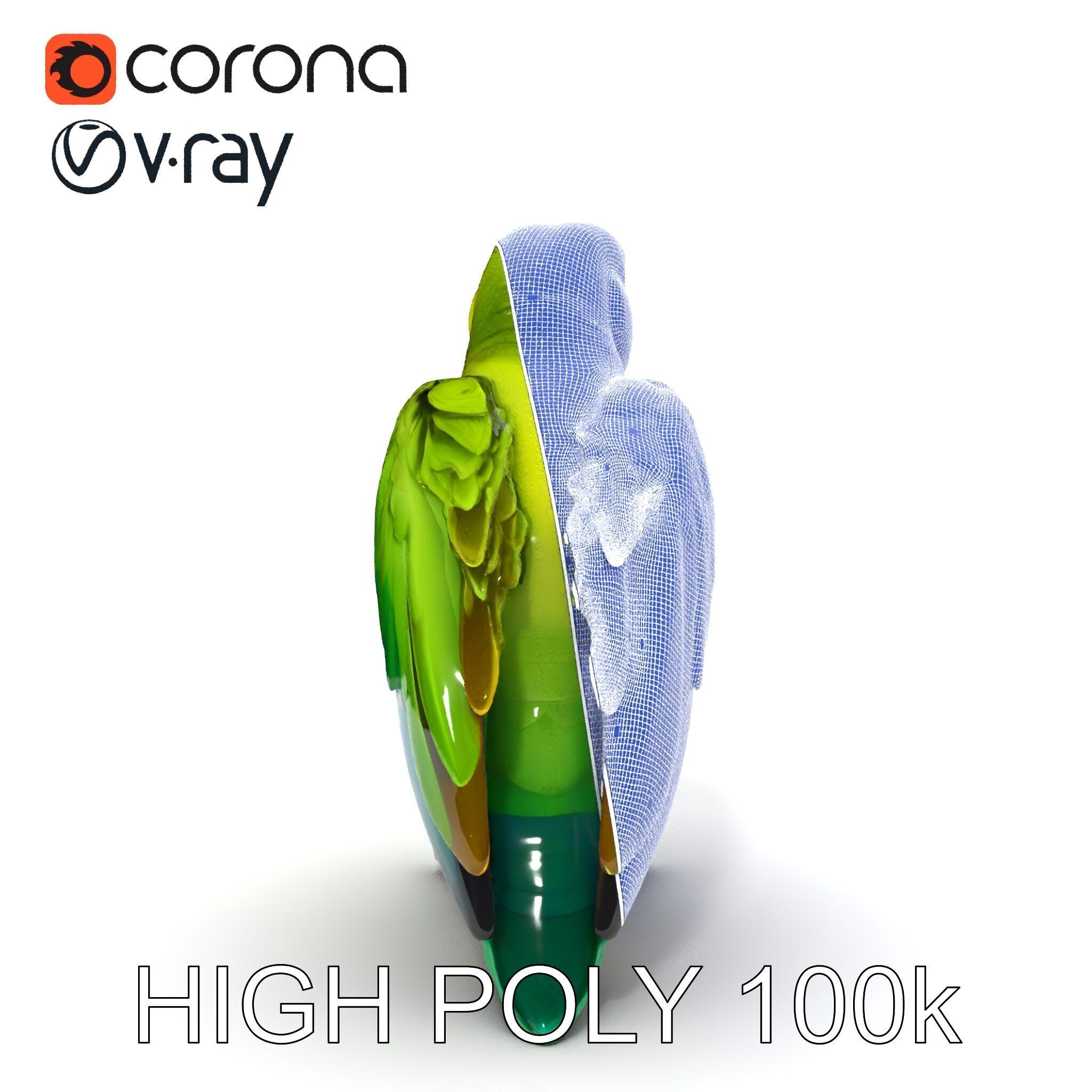 Vibrant Parrot D Model Pack Low-poly 3D model_24